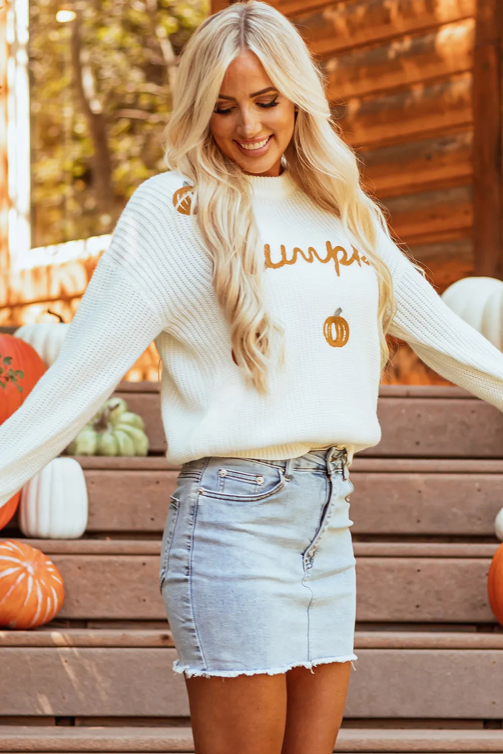 Pumpkin Embroidery Long Sleeve Sweater - MyriadMart