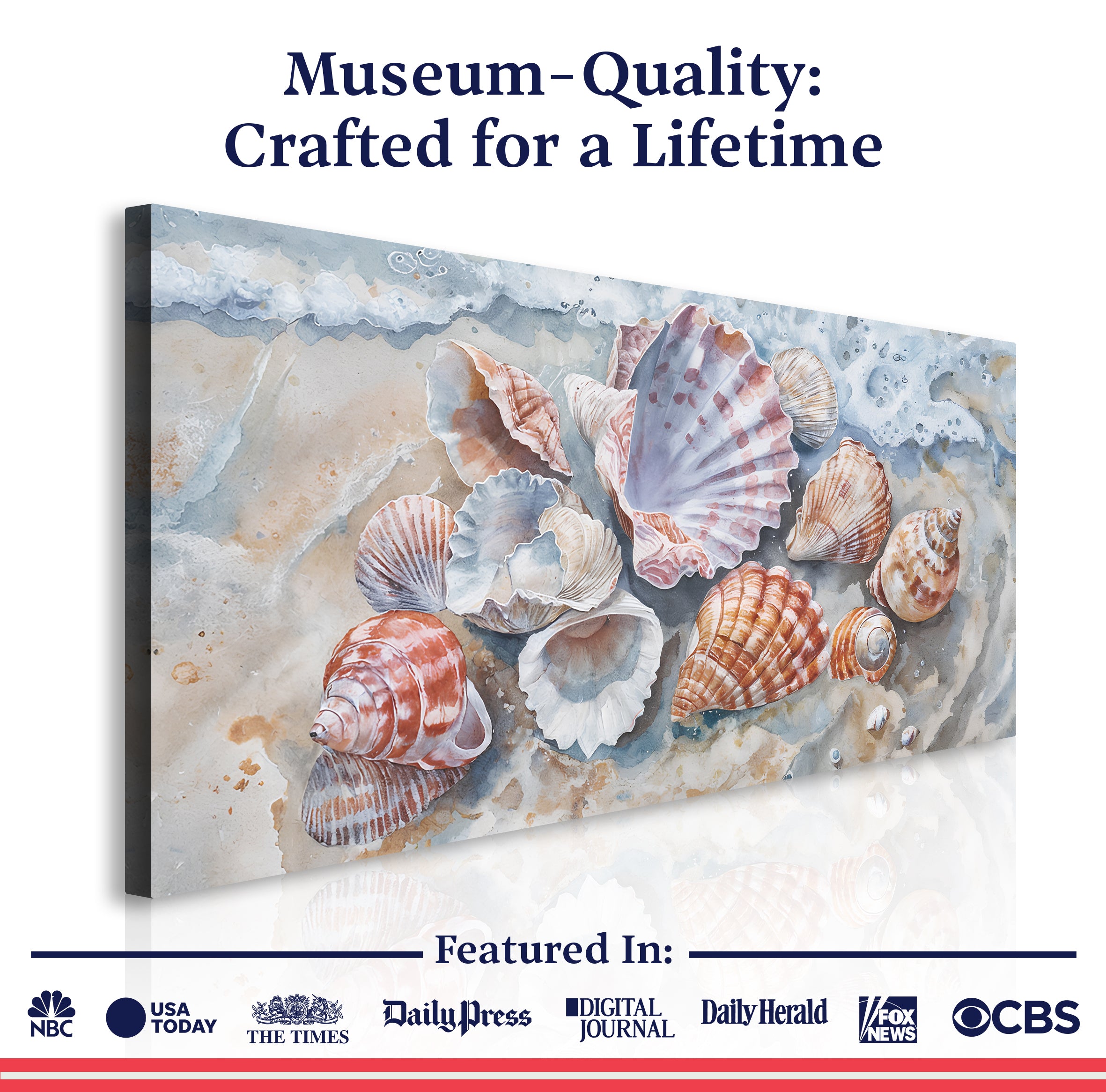 Sea Shells Modern Coastal Wall Art on sale at MyriadMart