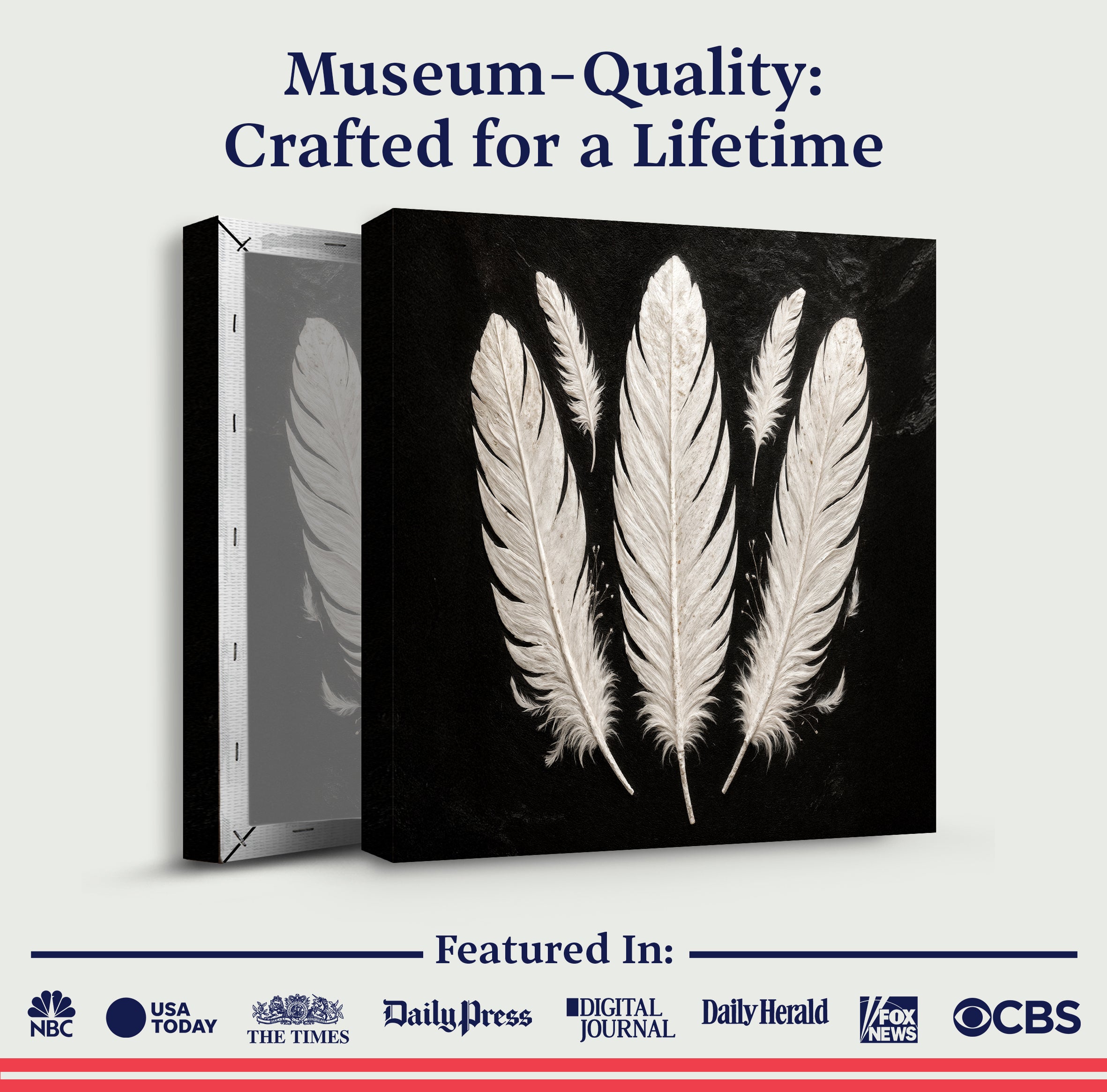 Minimalist Monochrome Feather Wall Art on sale at MyriadMart