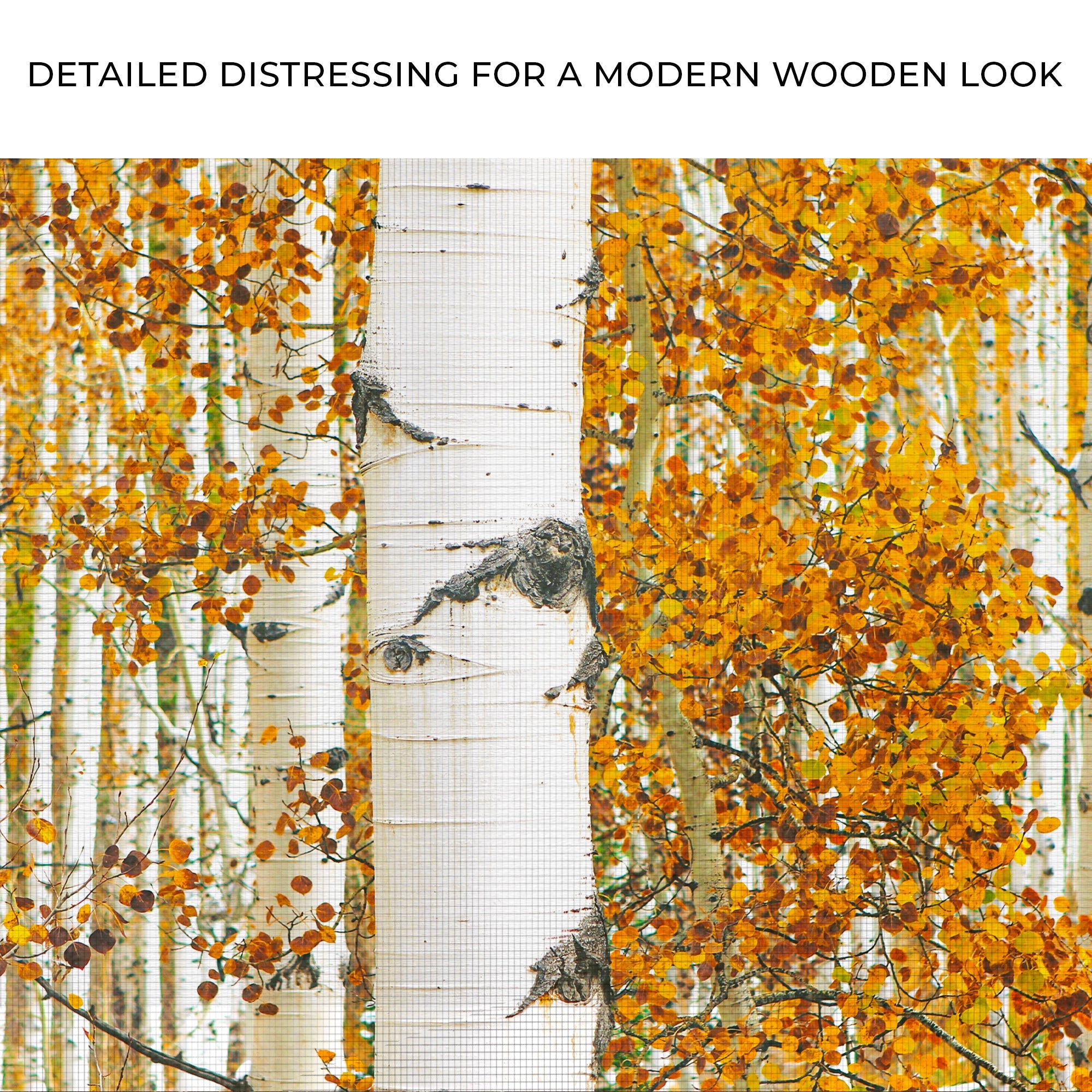 Autumn Tree Barks Canvas Wall Art on sale at MyriadMart