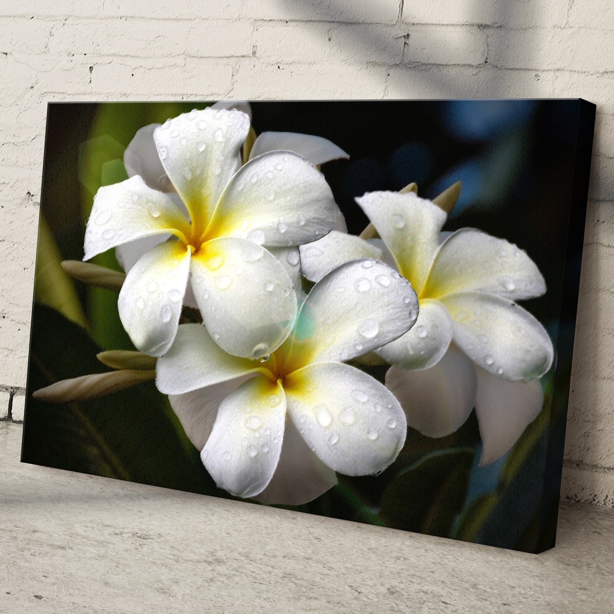 White Frangipani Flower Canvas Wall Art on sale at MyriadMart