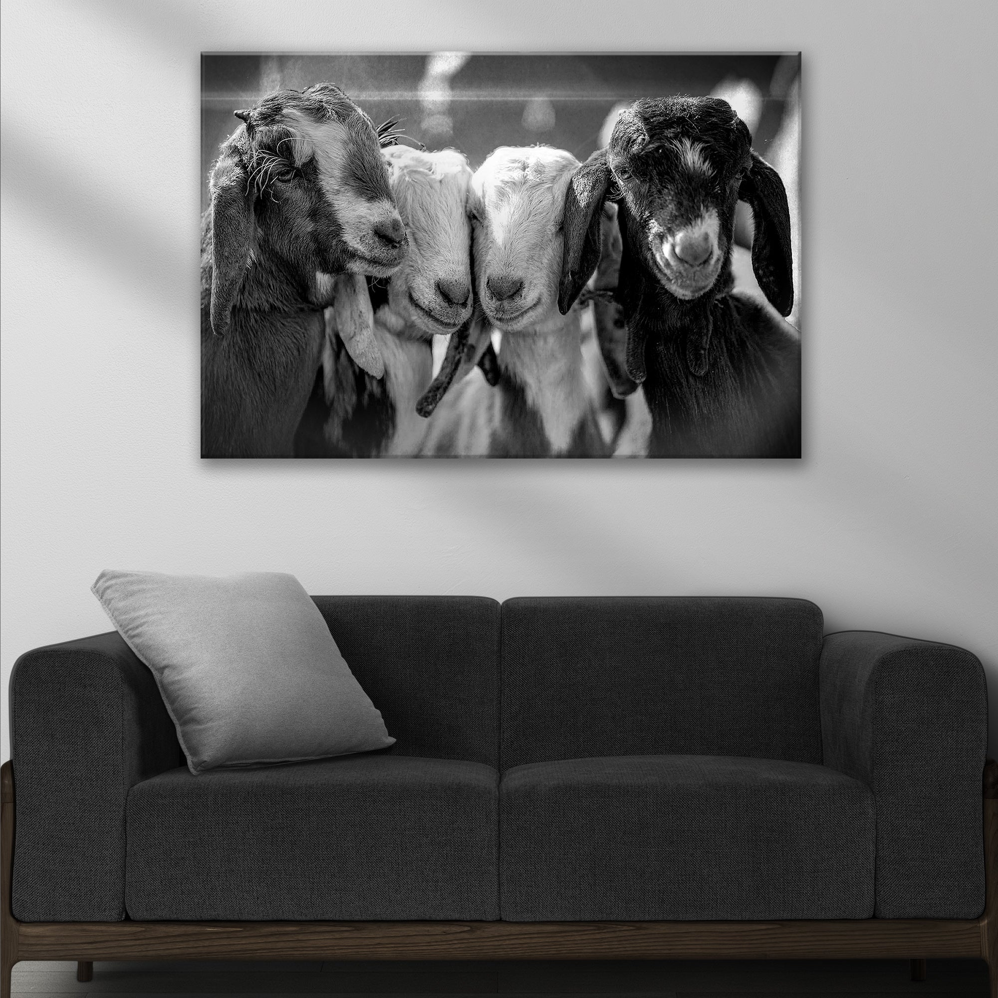 Black And White Baby Goats Canvas Wall Art on sale at MyriadMart