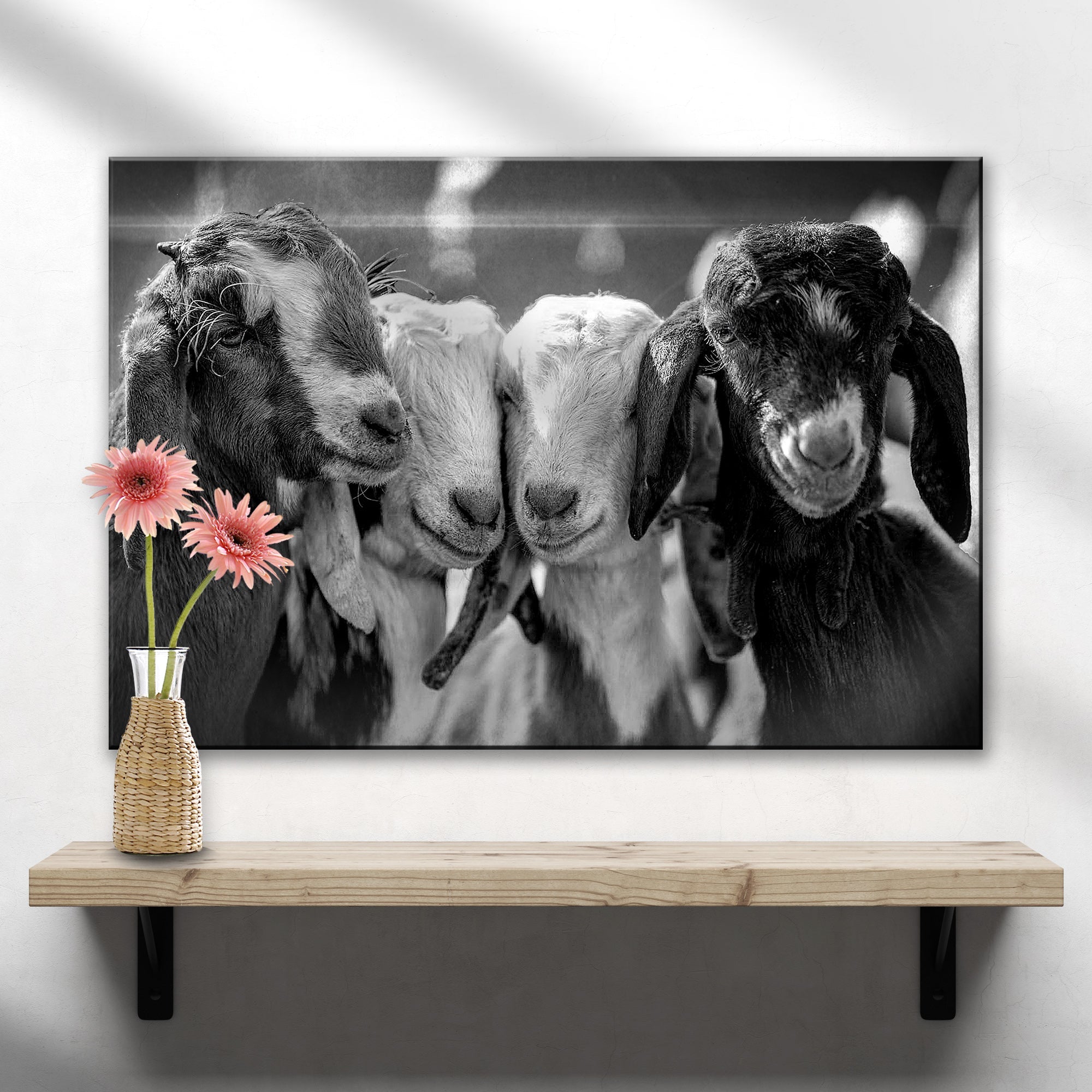 Black And White Baby Goats Canvas Wall Art on sale at MyriadMart