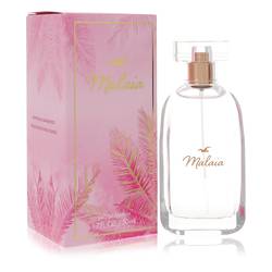 Hollister Malaia Eau De Parfum Spray By Hollister - MyriadMart
