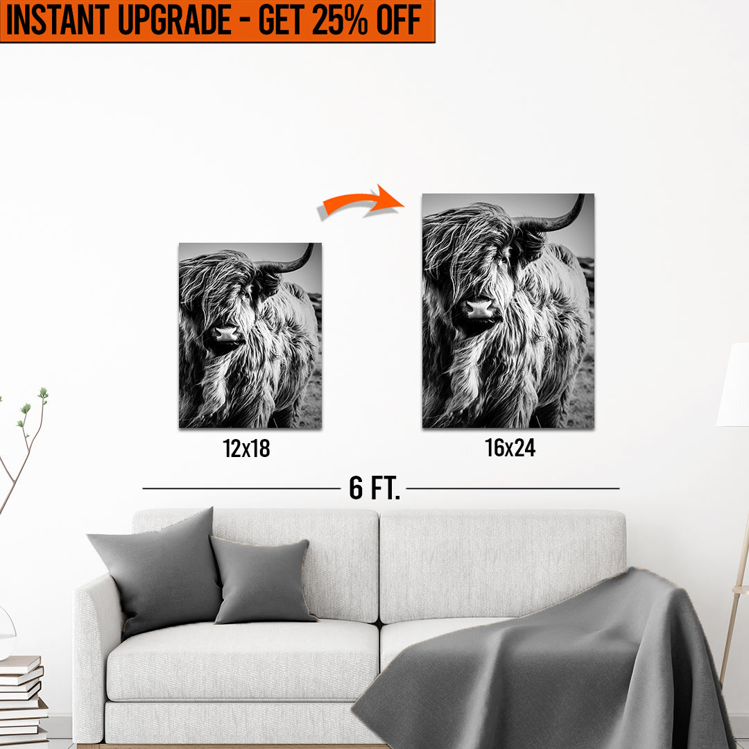 Upgrade Your 18x12 Inches 'Black And White Highland Cow Portrait' Canvas To 16x24 Inches on sale at MyriadMart