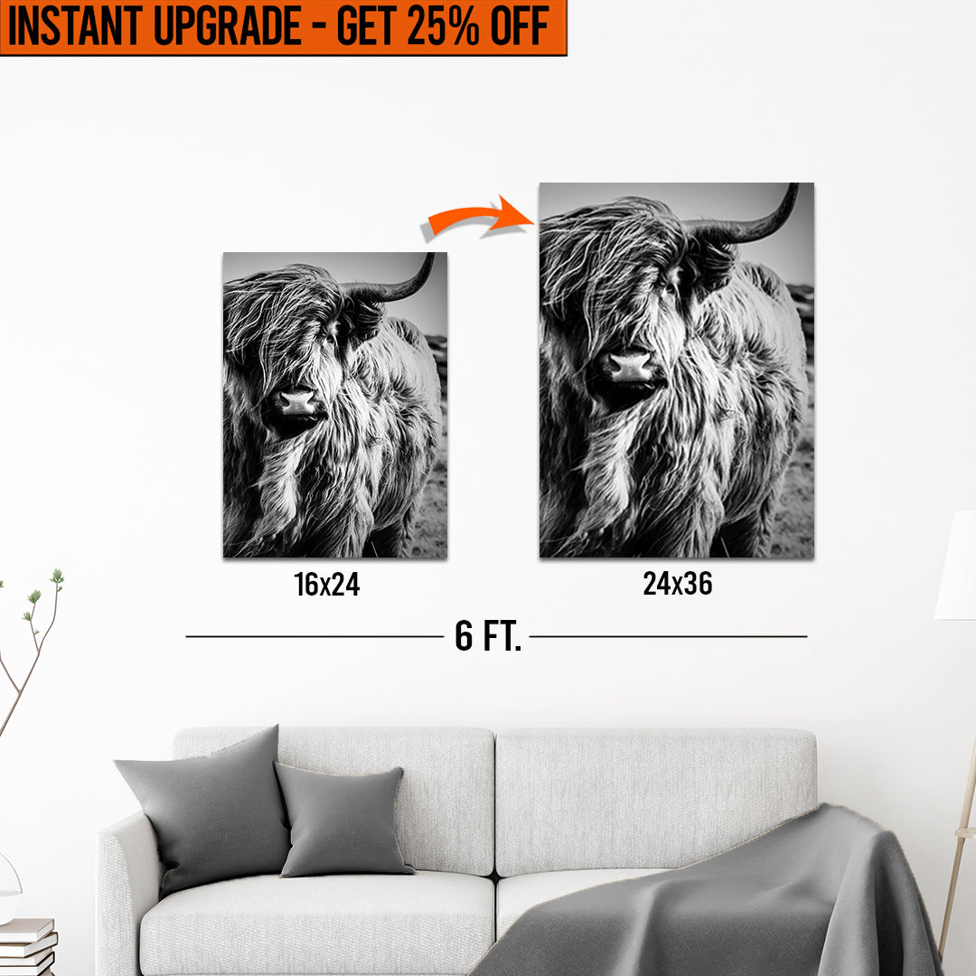 Upgrade Your 24x16 Inches 'Black And White Highland Cow Portrait' Canvas To 36x24 Inches on sale at MyriadMart
