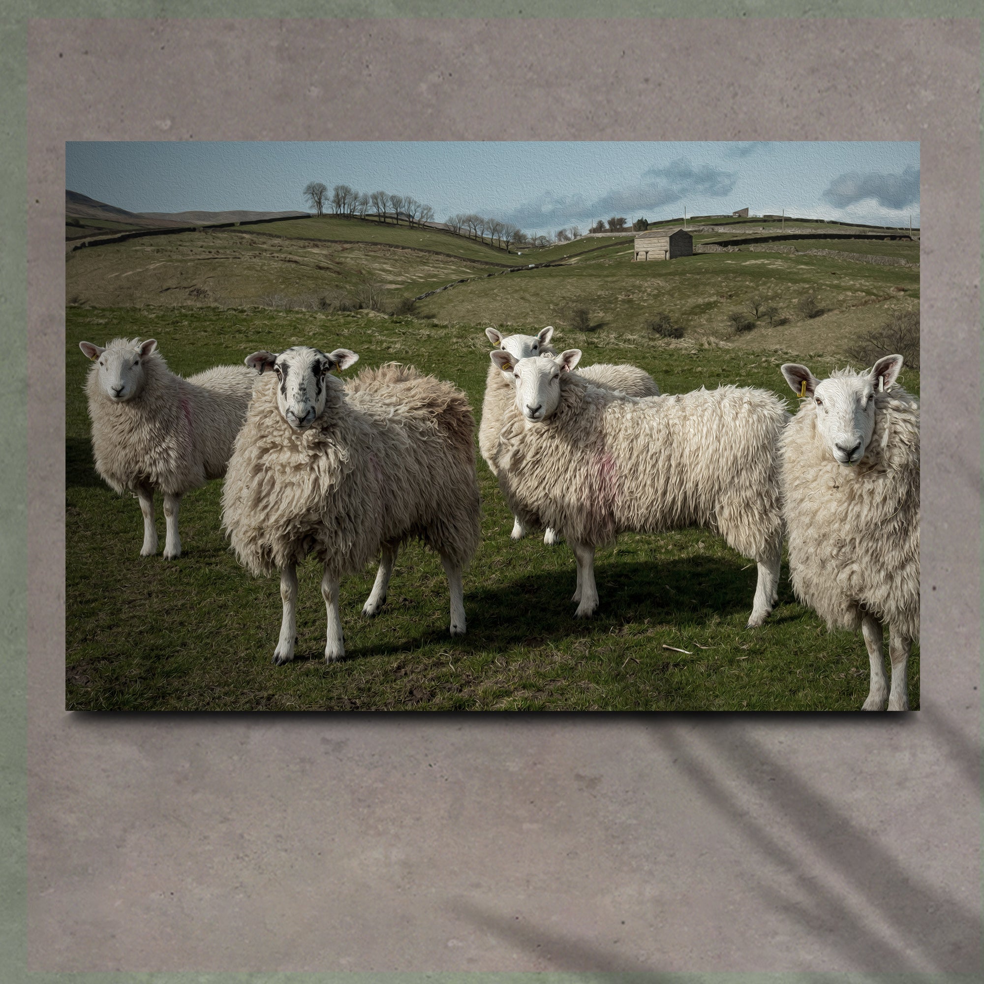 Flock Of Sheep Canvas Wall Art on sale at MyriadMart