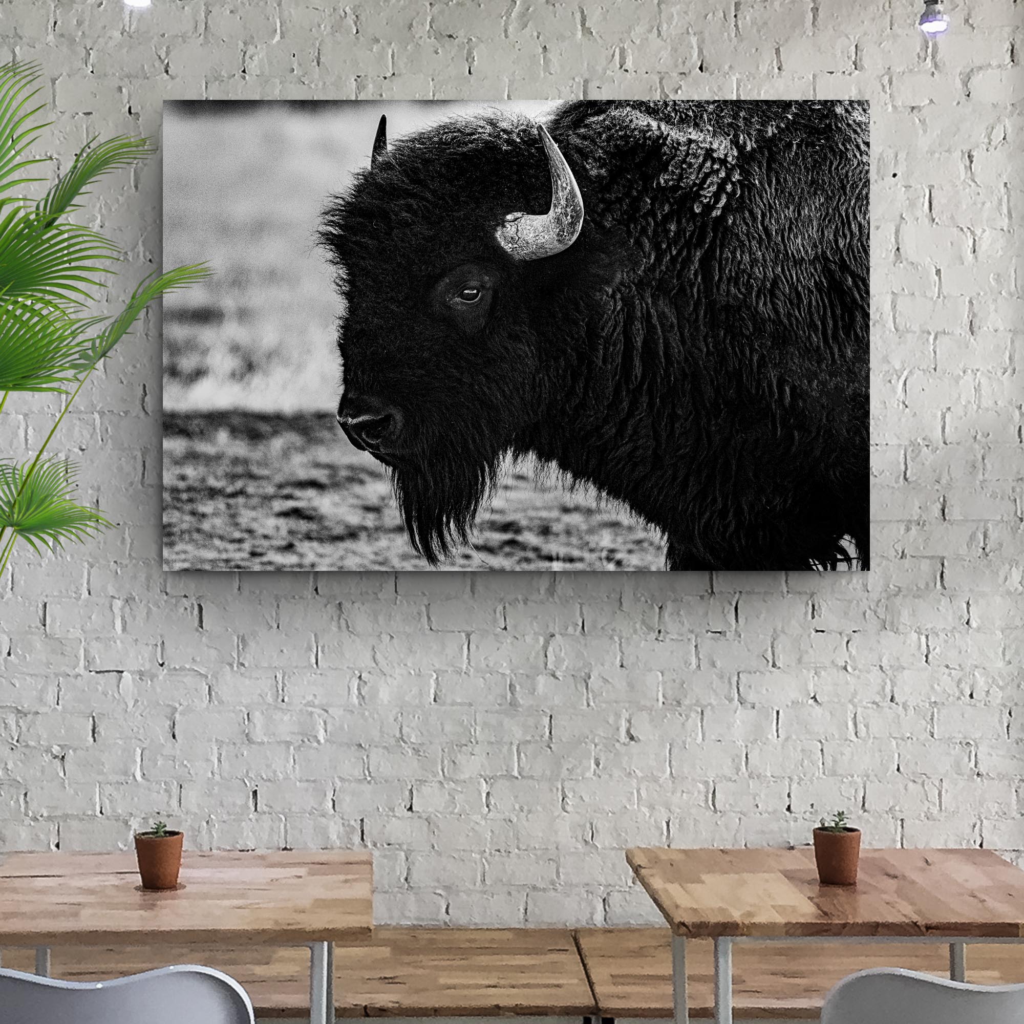 Black and White Bison Canvas Wall Art on sale at MyriadMart