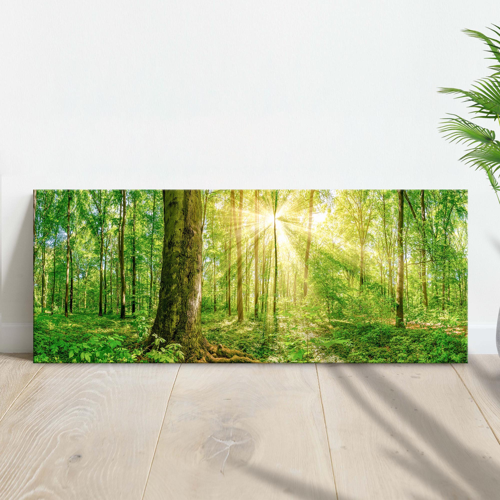 Golden Rays Into The Forest Canvas Wall Art on sale at MyriadMart