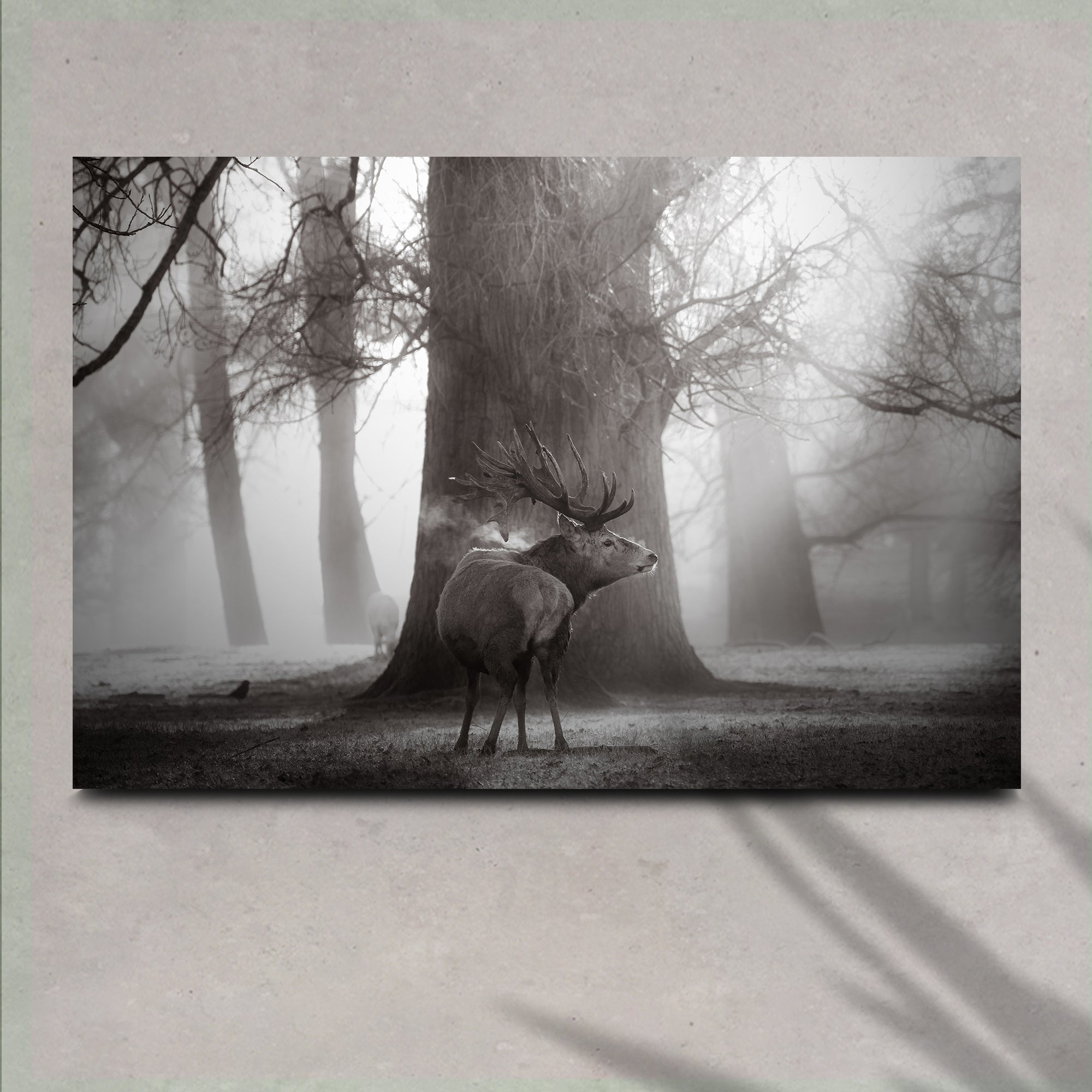 Monochrome Deer Canvas Wall Art on sale at MyriadMart