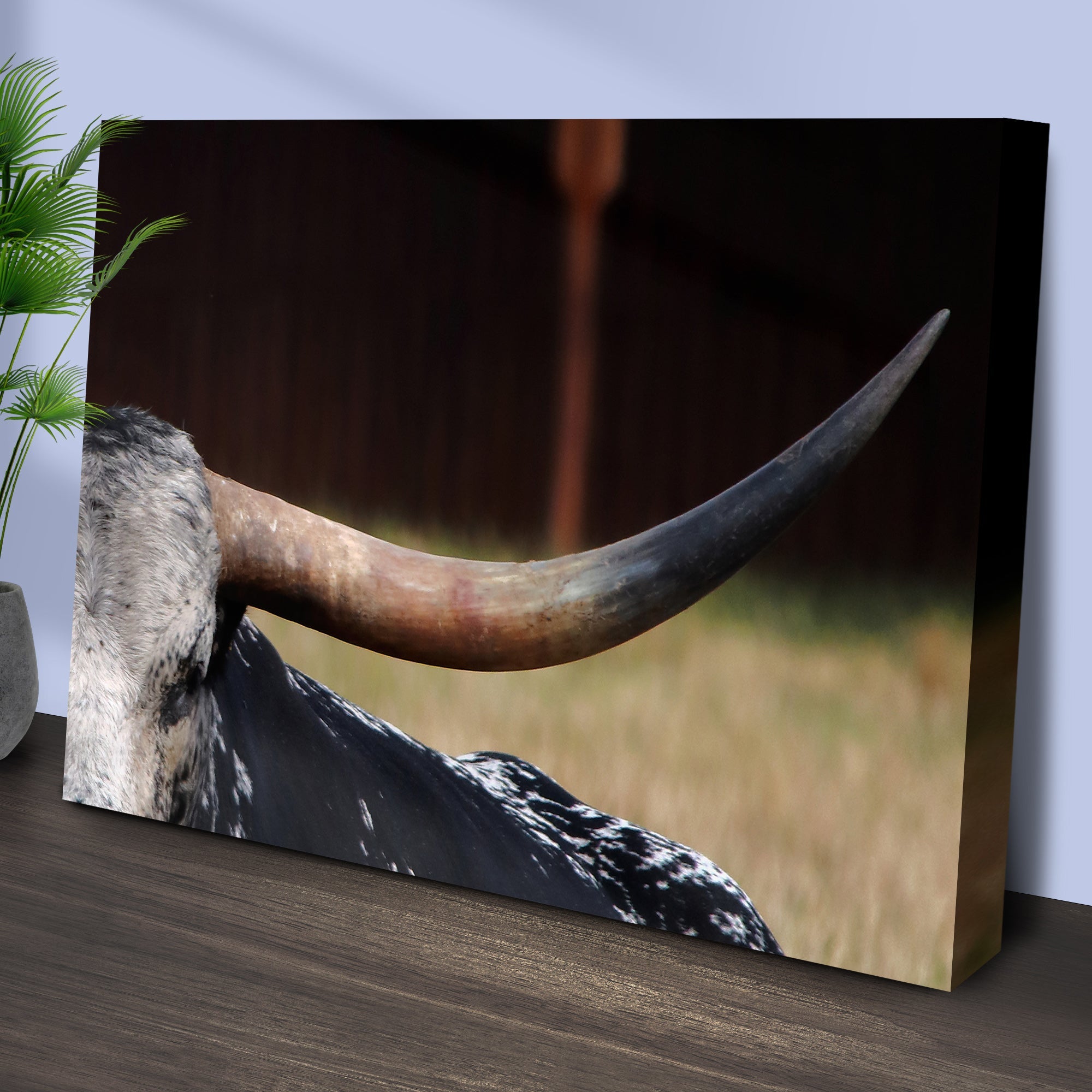 Focused Longhorn Cattle Canvas Wall Art on sale at MyriadMart