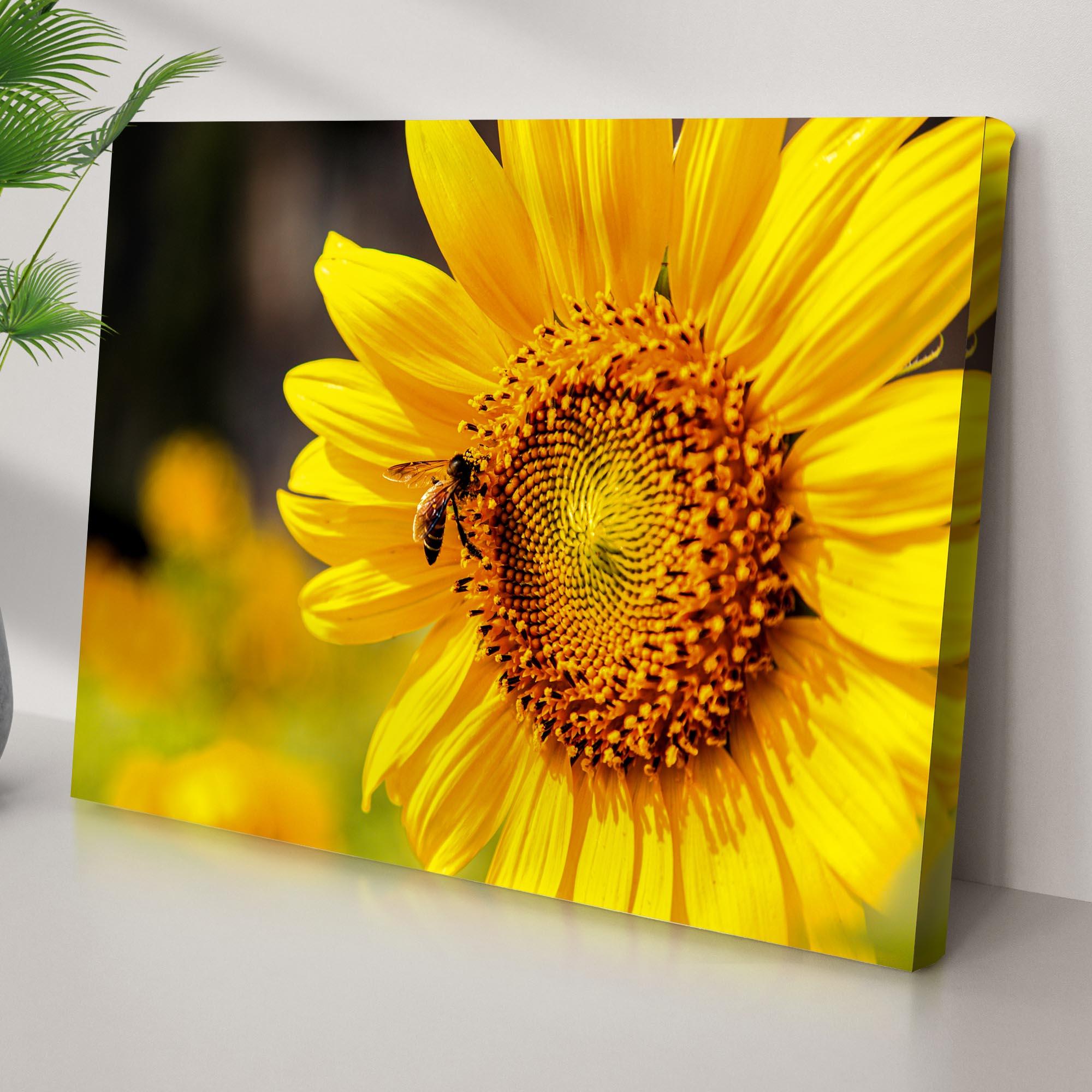 Bee On Sunflower Canvas Wall Art on sale at MyriadMart