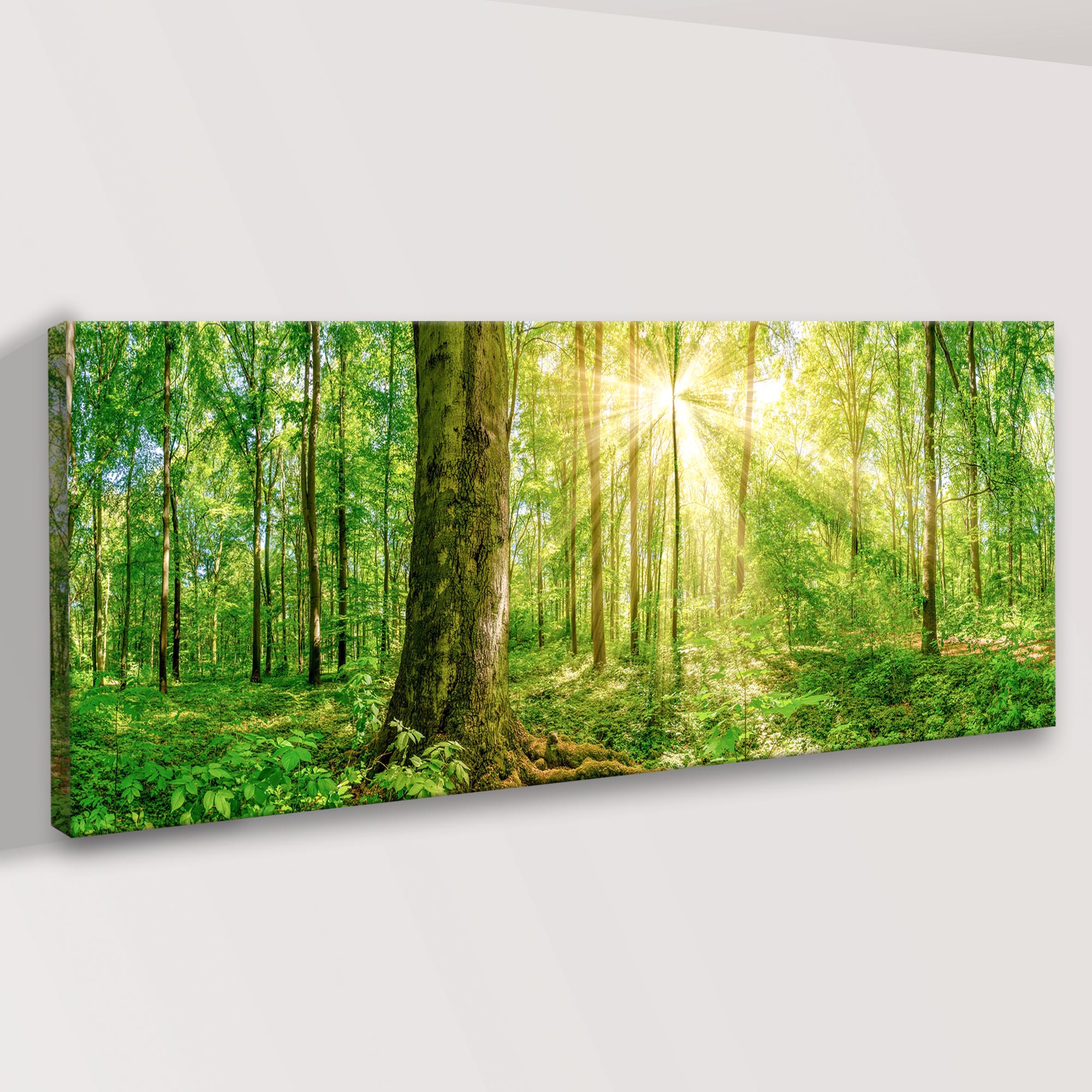 Golden Rays Into The Forest Canvas Wall Art on sale at MyriadMart