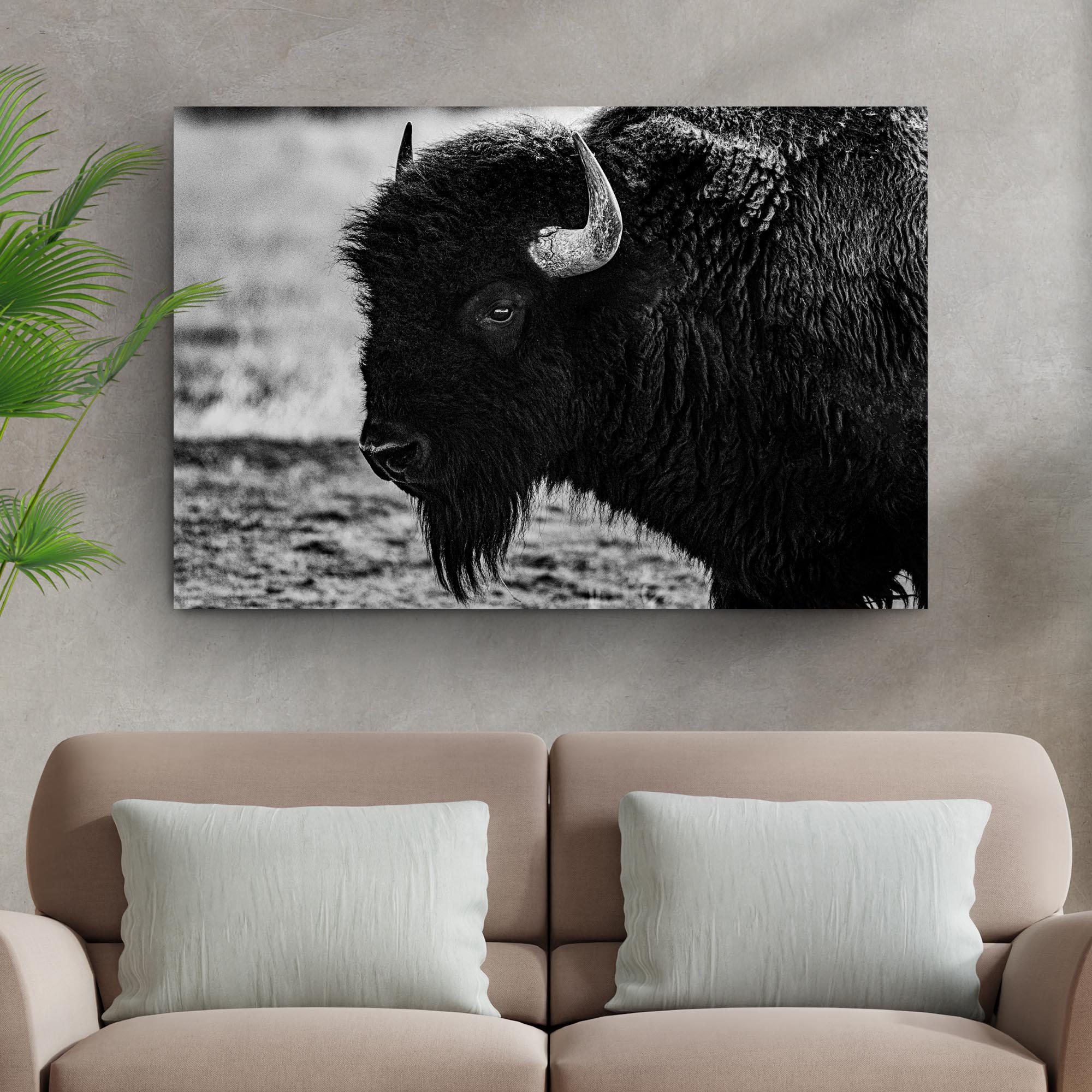 Black and White Bison Canvas Wall Art on sale at MyriadMart