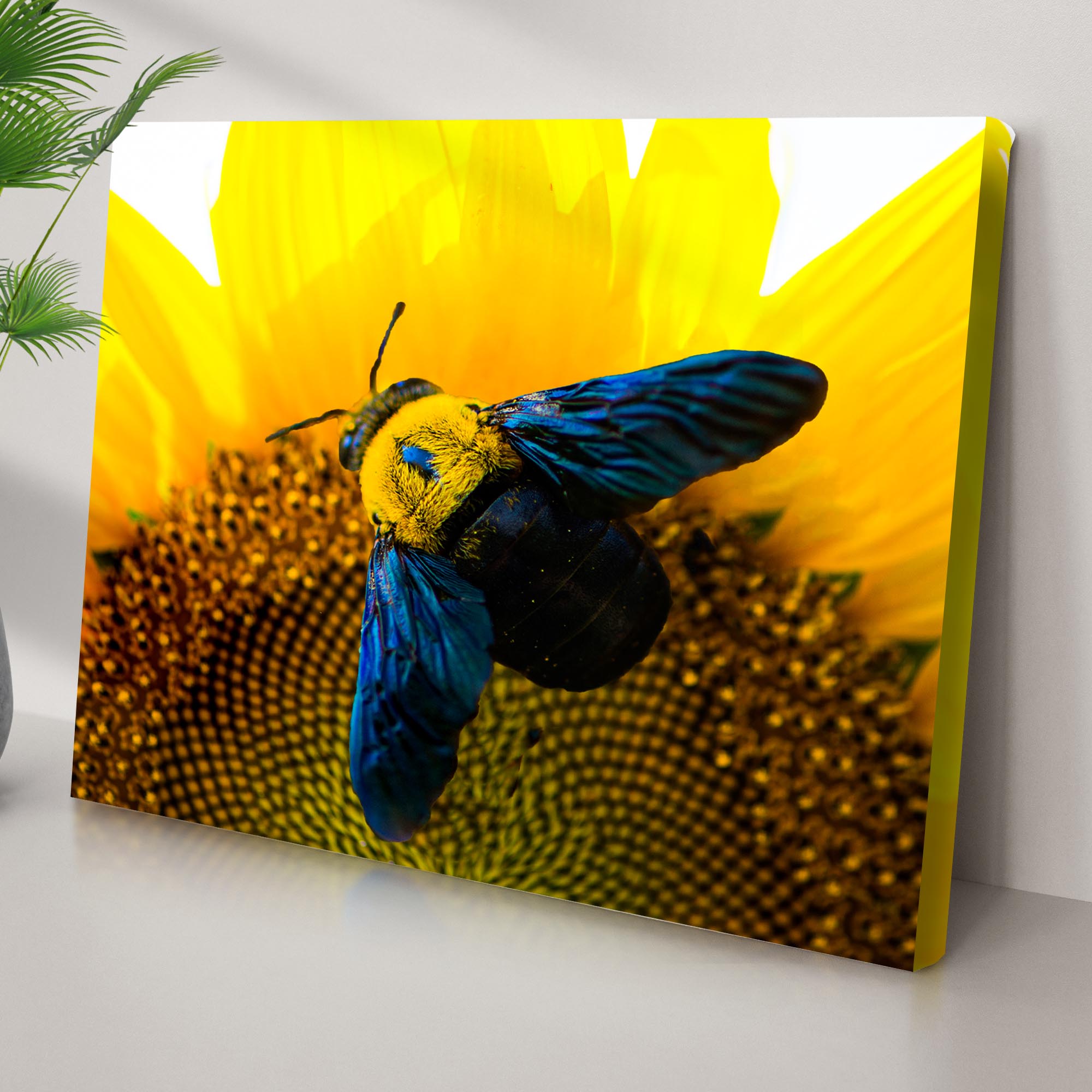 Bee Hoverfly Above A Sunflower Canvas Wall Art on sale at MyriadMart