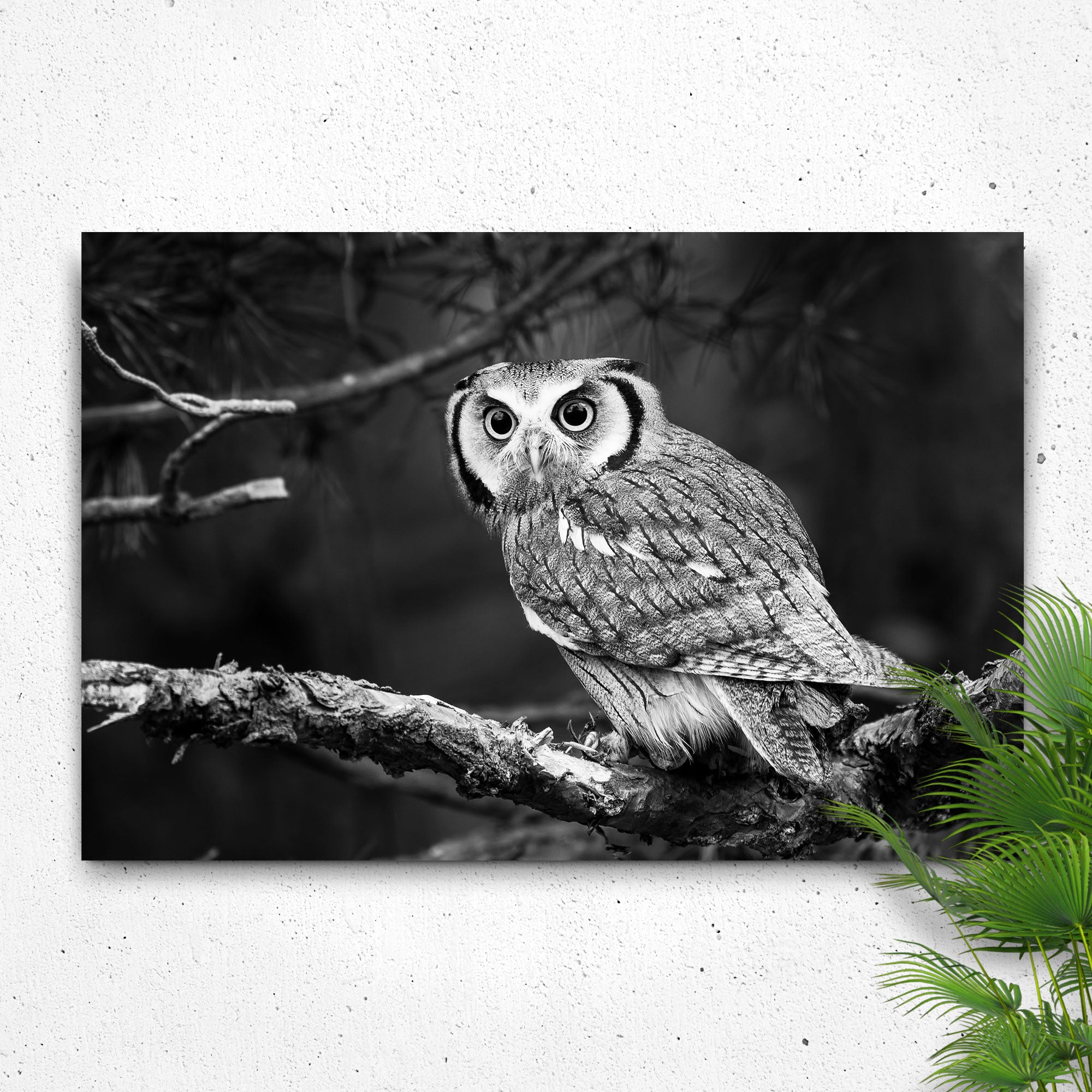 Black And White Owl Canvas Wall Art on sale at MyriadMart