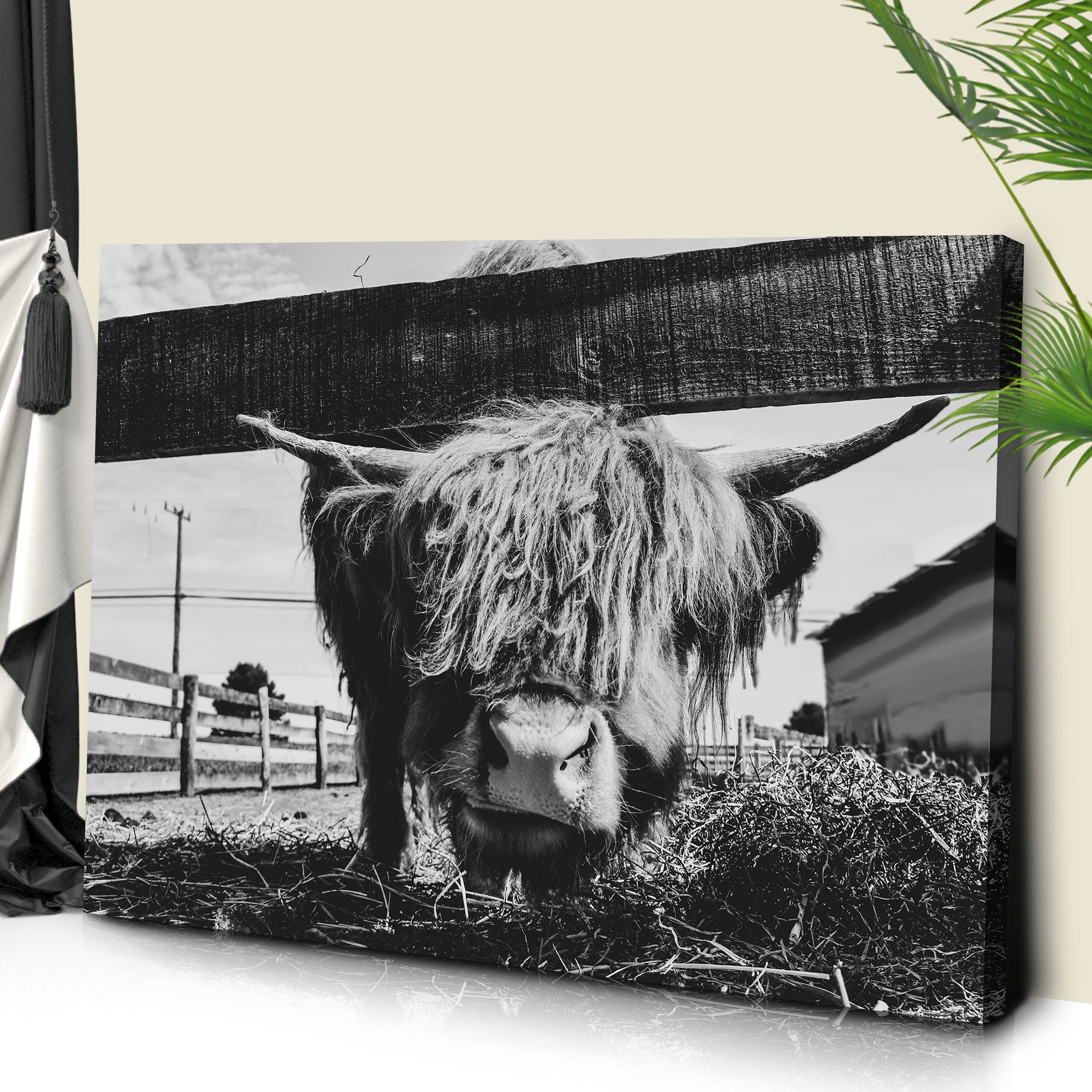 Curious Highland Cattle Monochrome Canvas Wall Art on sale at MyriadMart