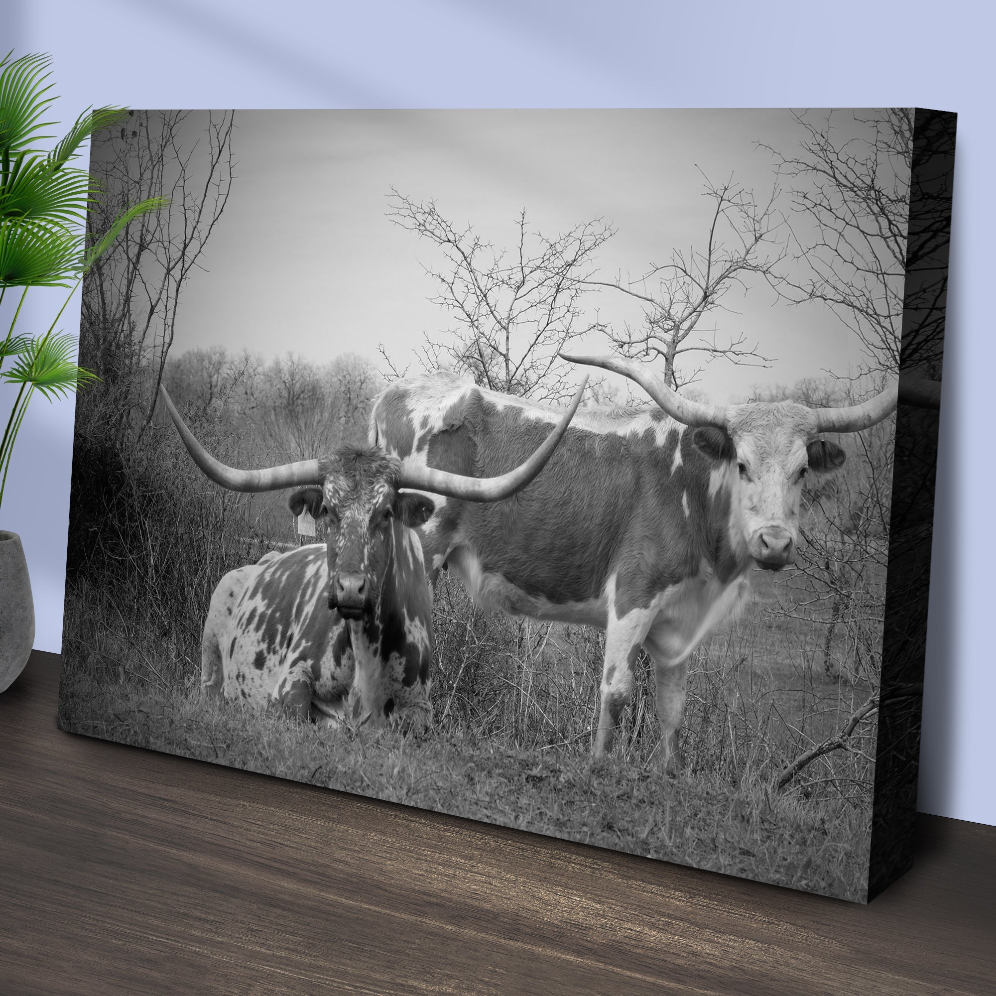 Monochrome Texas Longhorn Cattle Canvas Wall Art on sale at MyriadMart