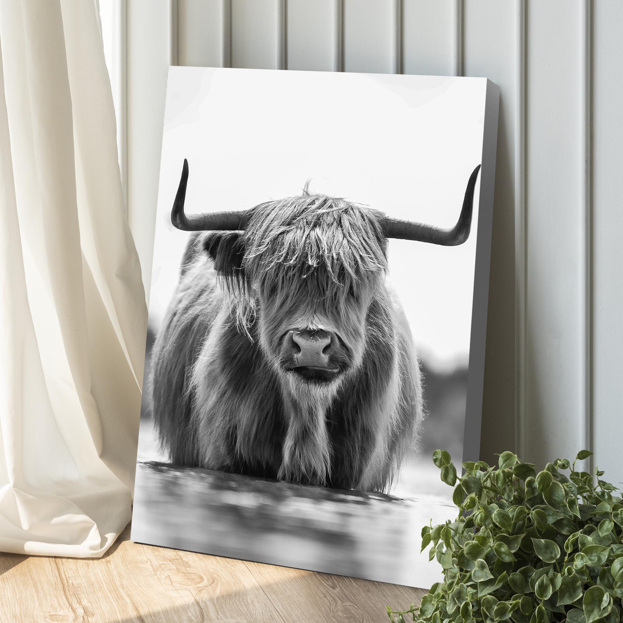 Grayscale Highland Cow Portrait Canvas Wall Art on sale at MyriadMart