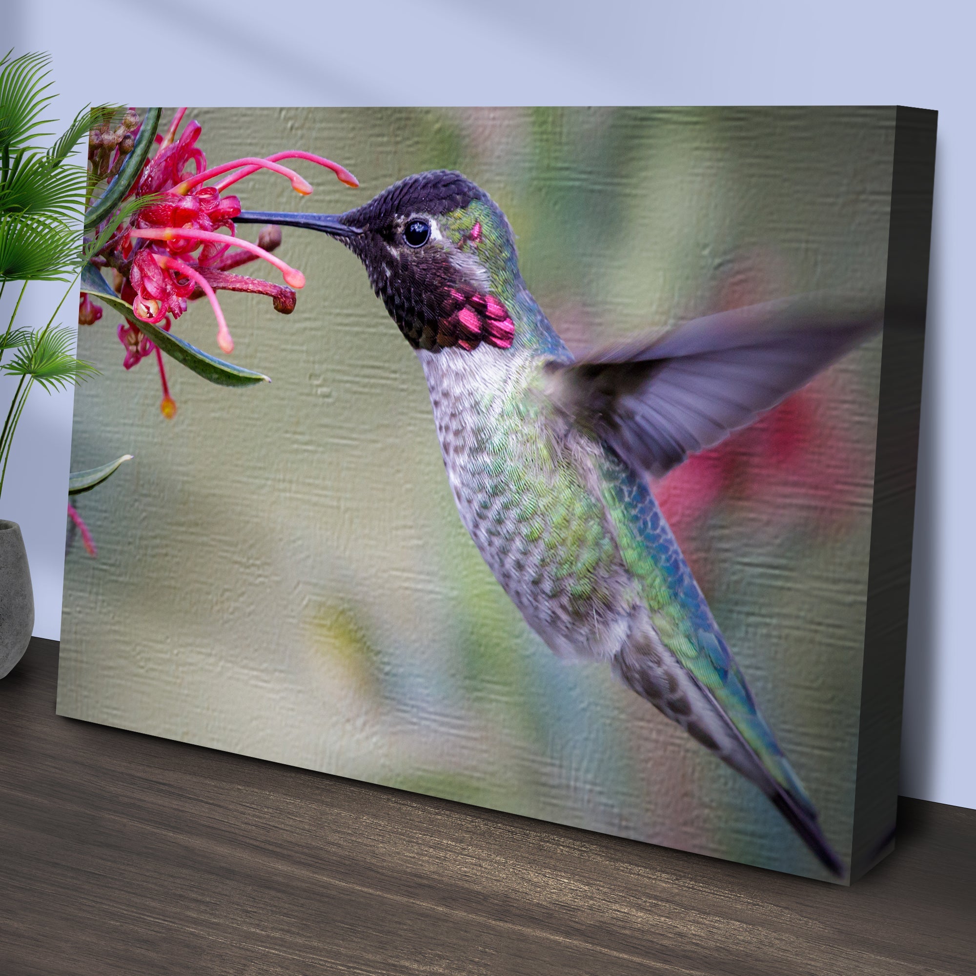 Hummingbird Spring Canvas Wall Art on sale at MyriadMart
