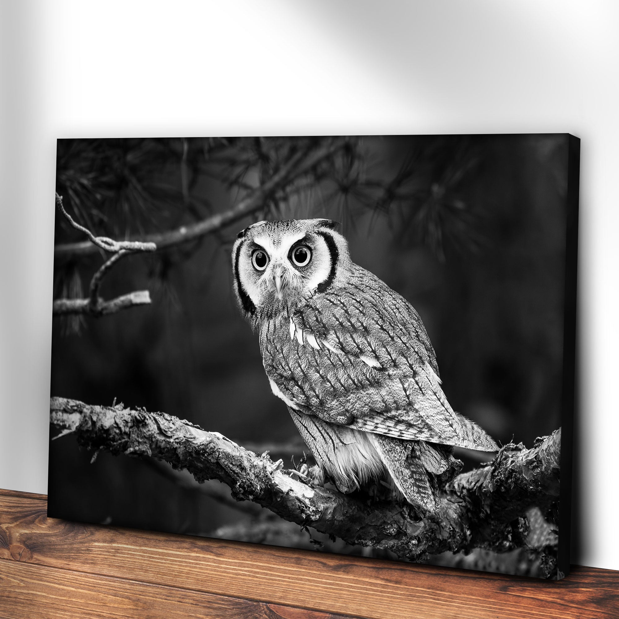 Black And White Owl Canvas Wall Art on sale at MyriadMart