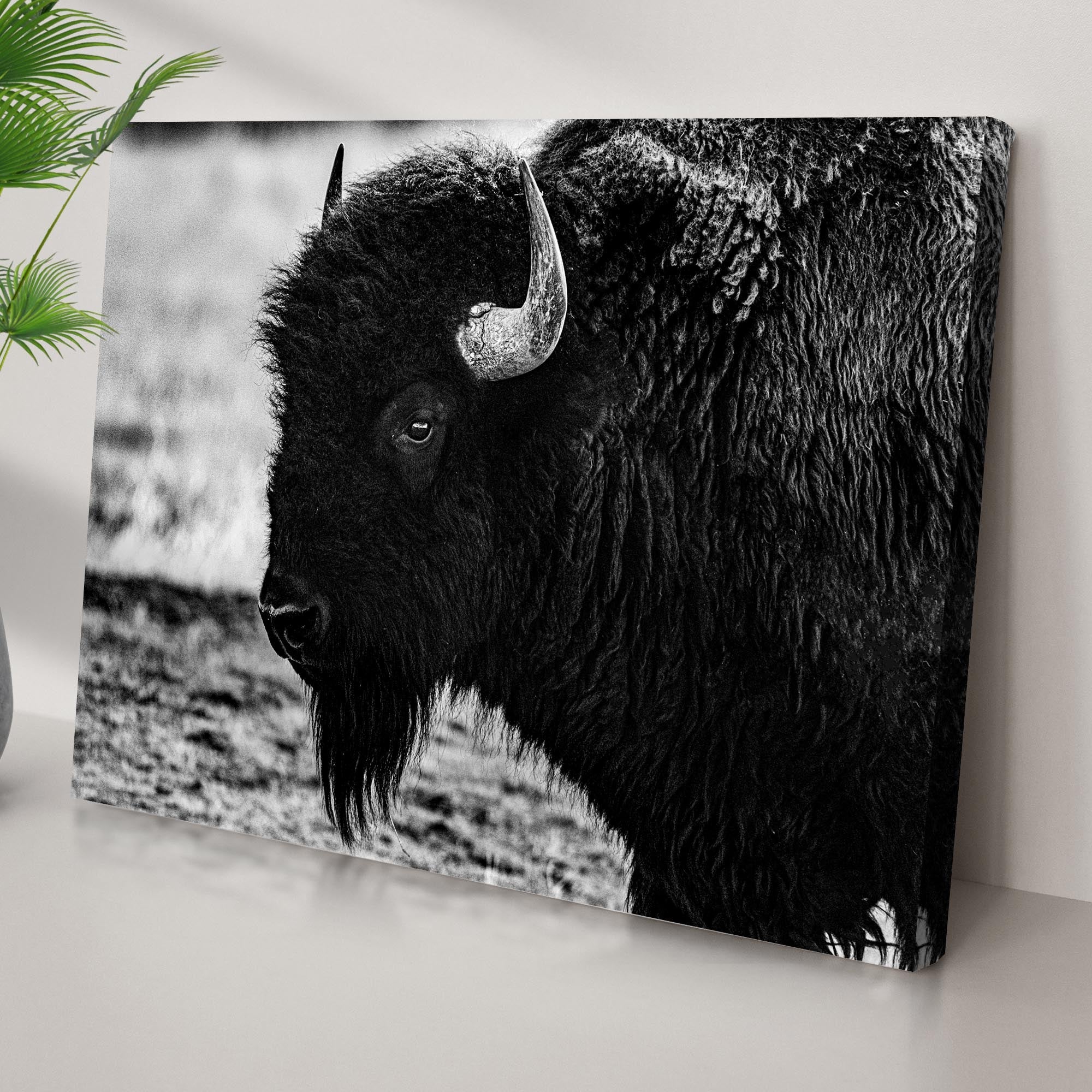 Black and White Bison Canvas Wall Art on sale at MyriadMart