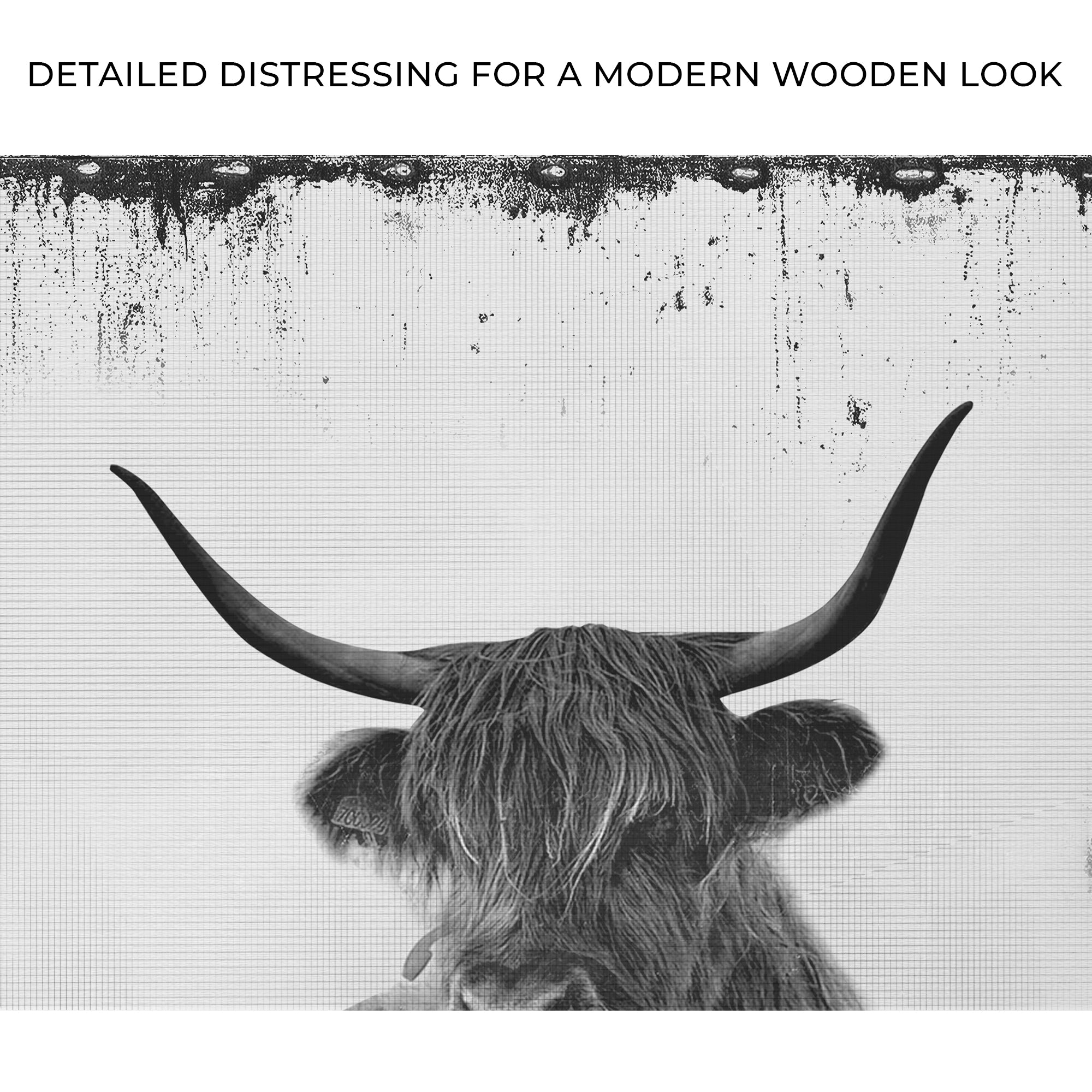 Highland Cattle Bath Canvas Wall Art II on sale at MyriadMart