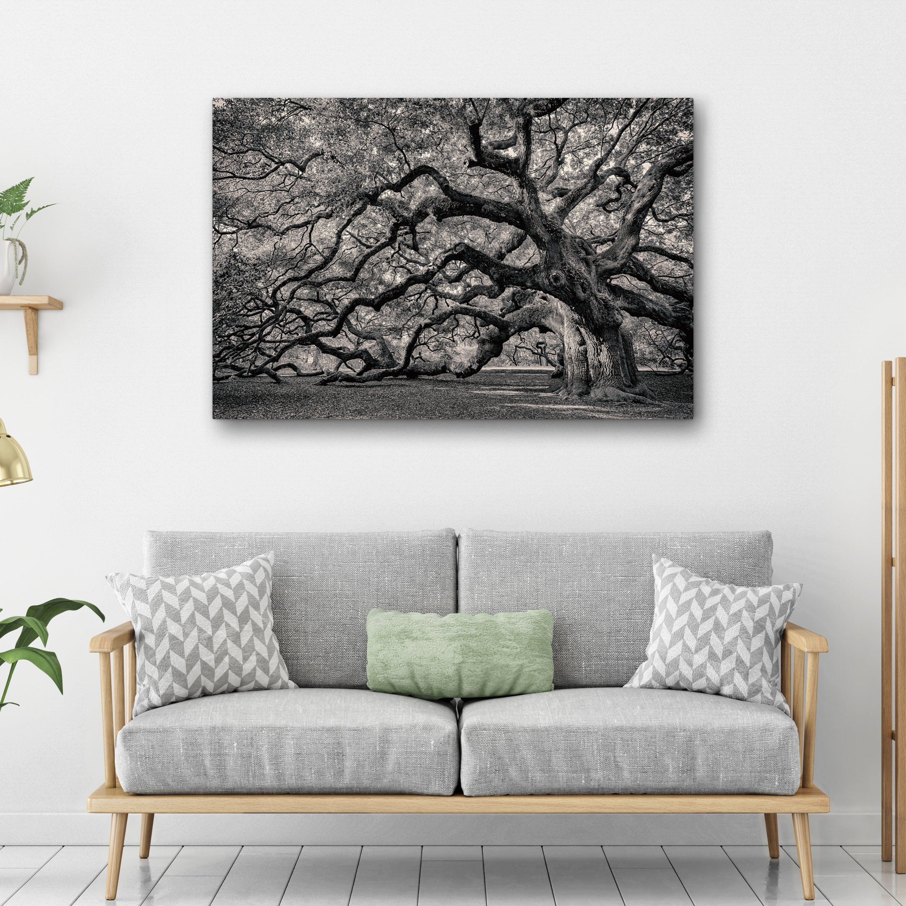Monochrome Angel Oak Tree Canvas Wall Art on sale at MyriadMart