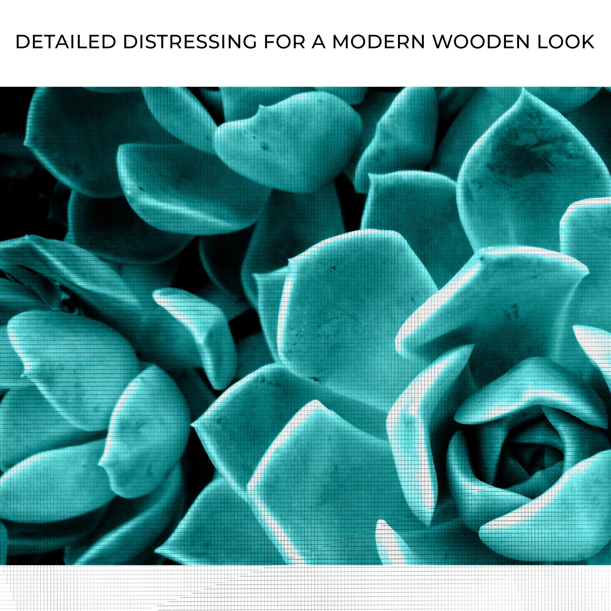 Teal Rose Succulent Canvas Wall Art II on sale at MyriadMart