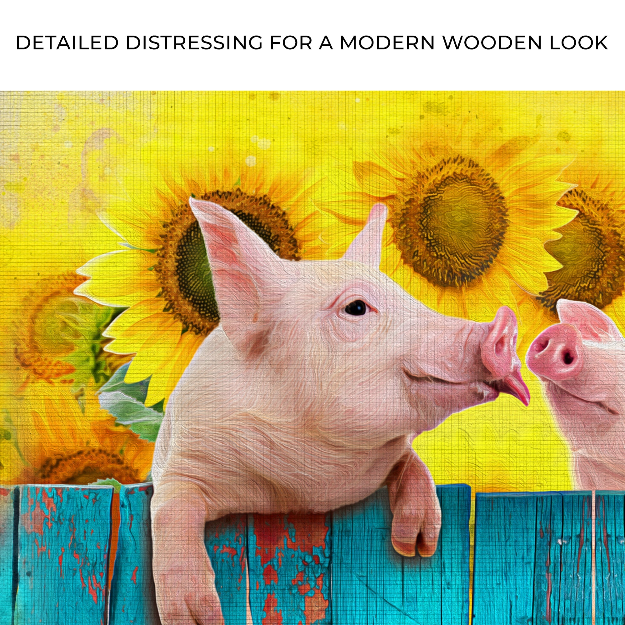 Sunflower Pigs Canvas Wall Art on sale at MyriadMart