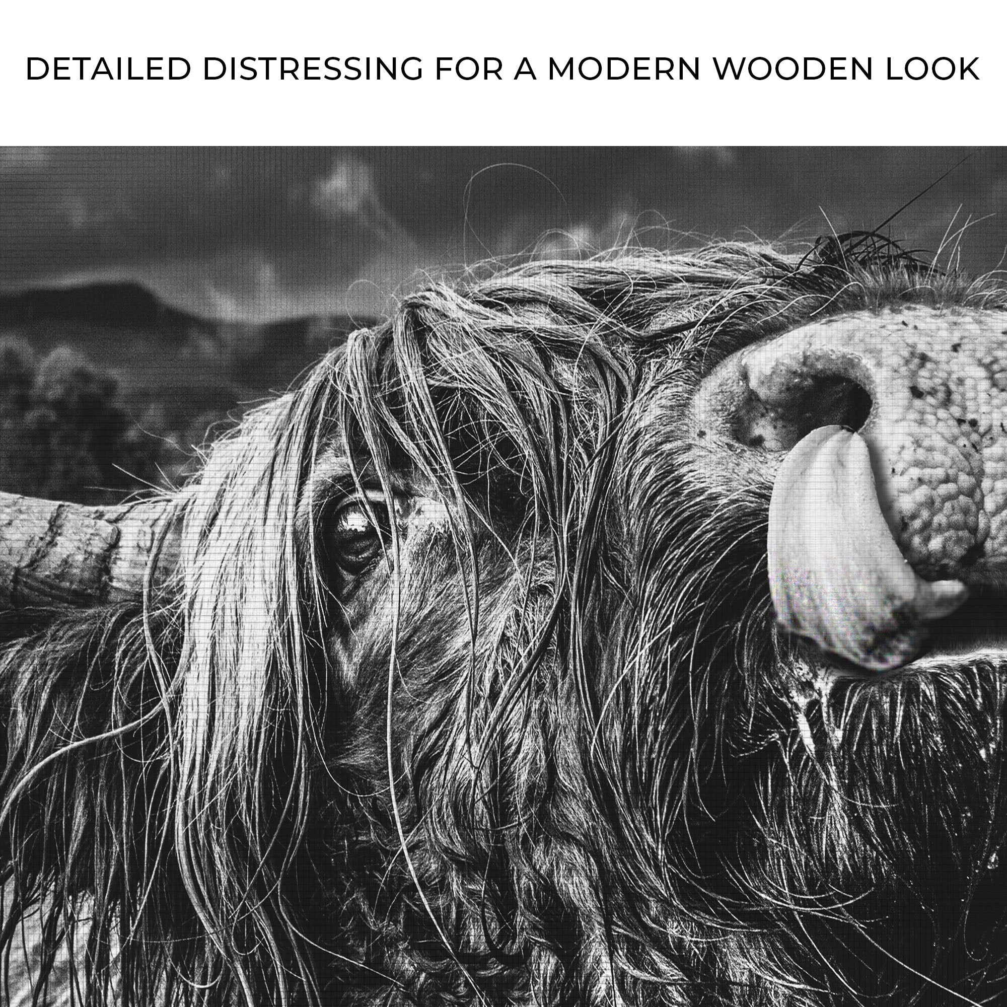 West Highland Cow Monochrome Canvas Wall Art on sale at MyriadMart