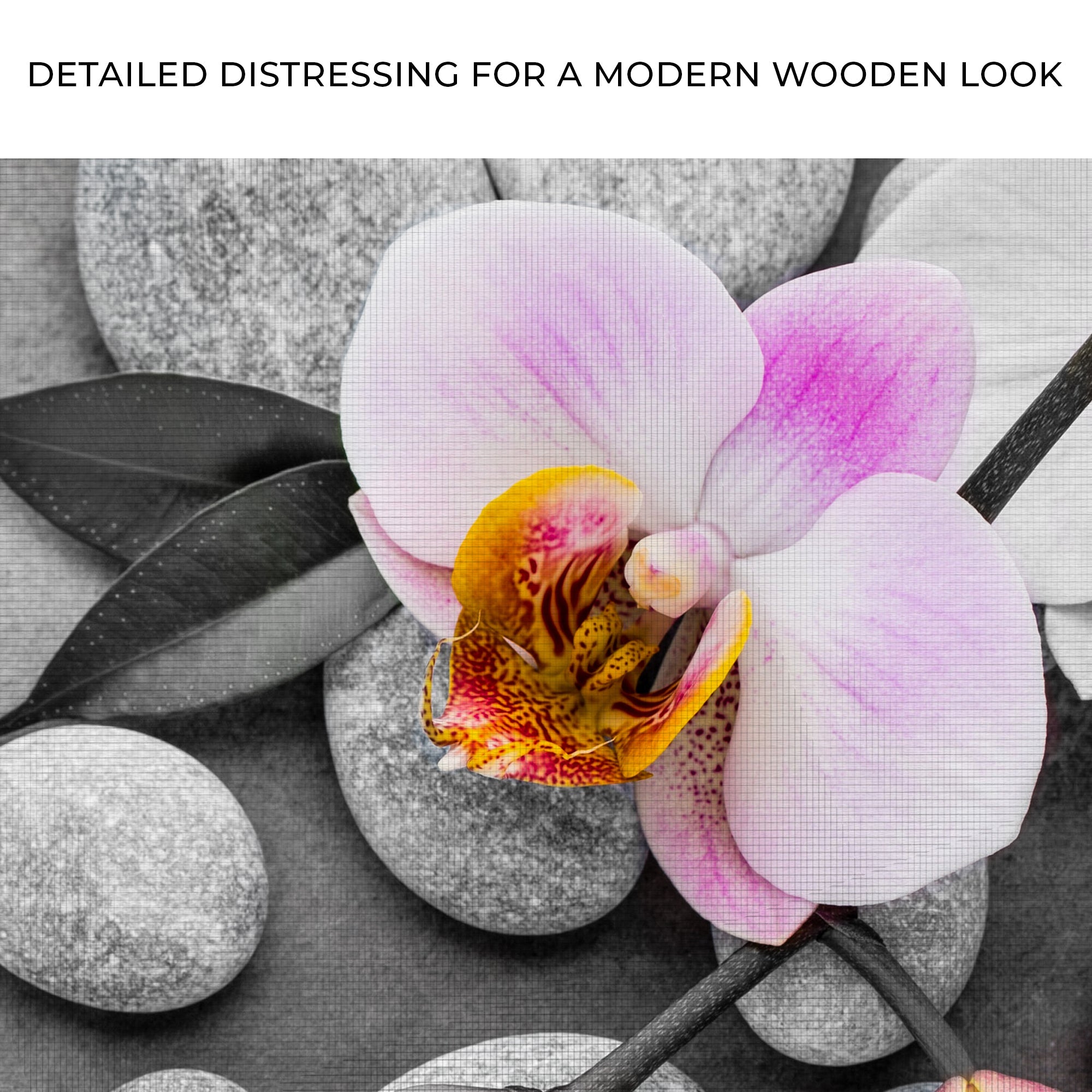 Fresh White Orchid Flower Canvas Wall Art on sale at MyriadMart