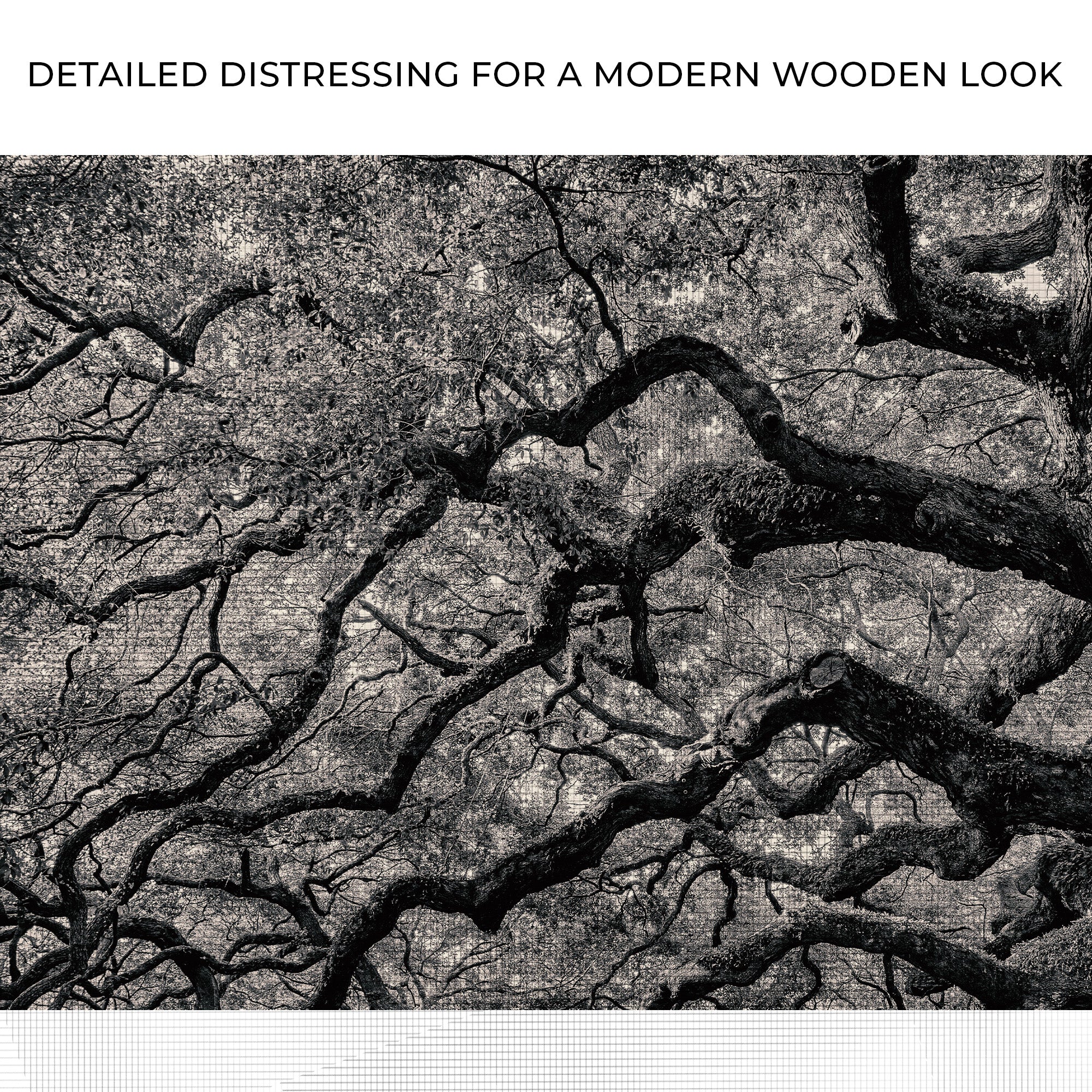 Monochrome Angel Oak Tree Canvas Wall Art on sale at MyriadMart