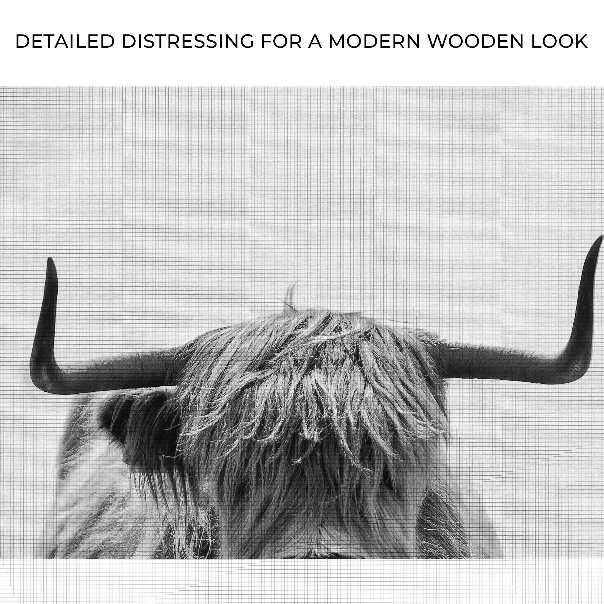 Grayscale Highland Cow Portrait Canvas Wall Art on sale at MyriadMart