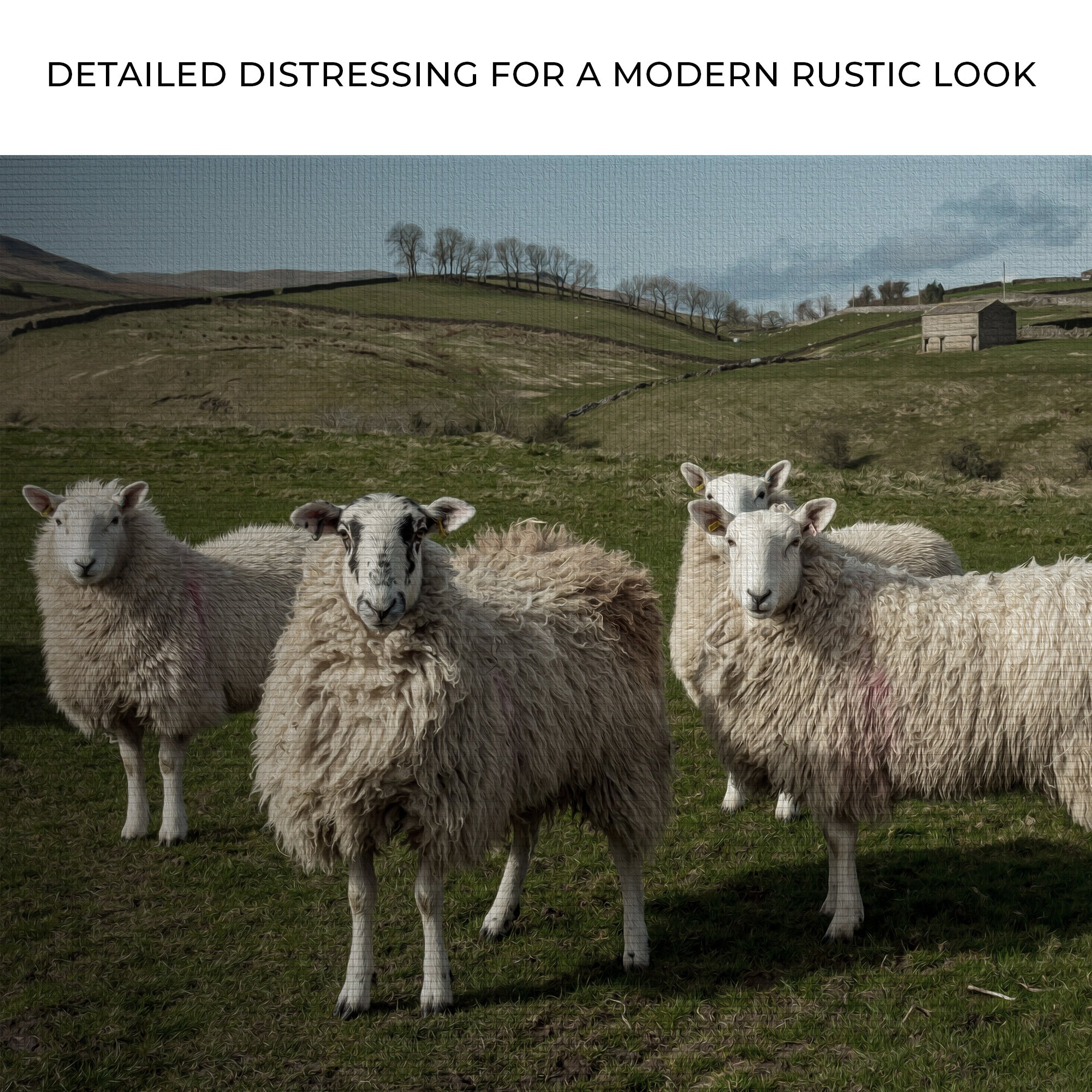 Flock Of Sheep Canvas Wall Art on sale at MyriadMart