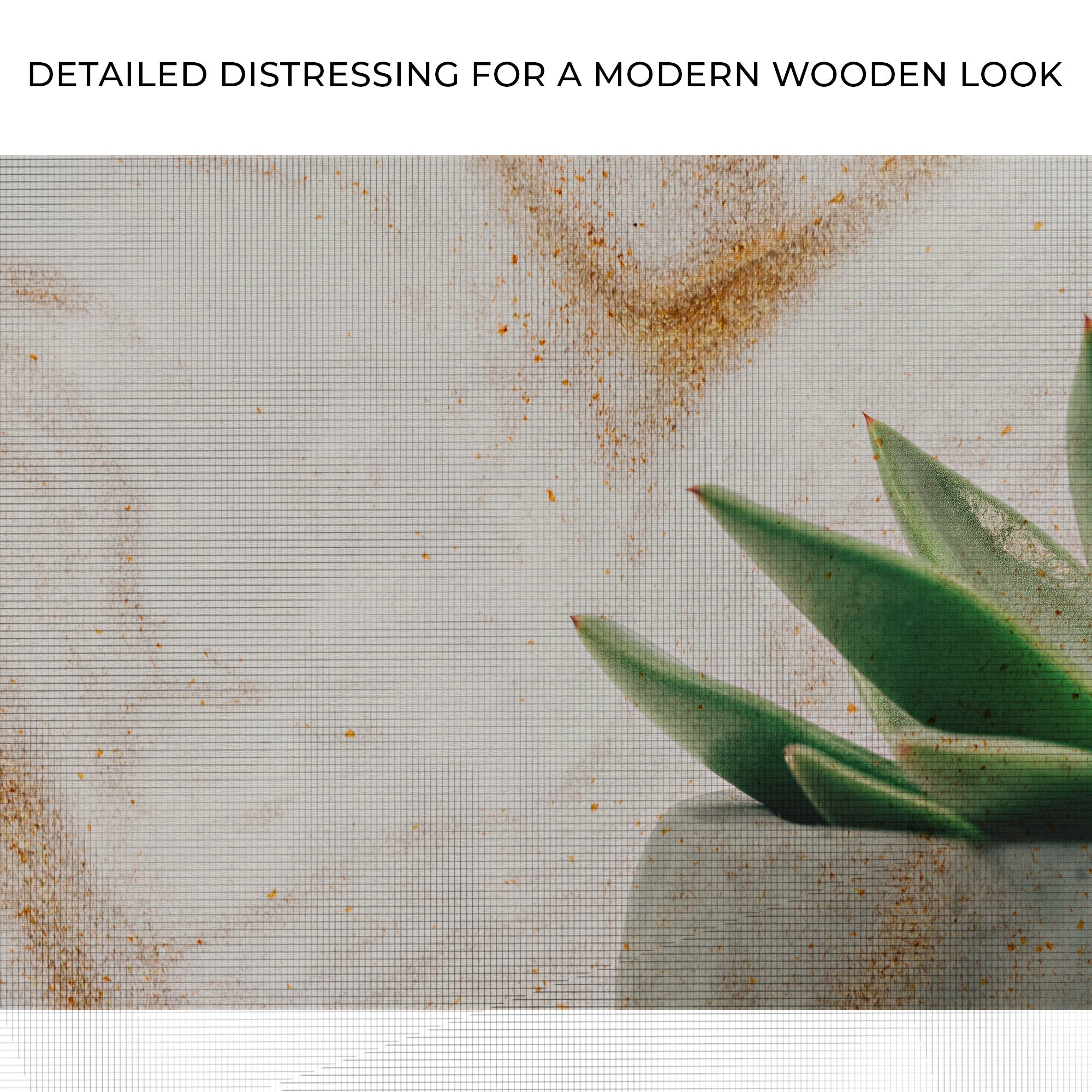 Stone Pot Succulent Plant Canvas Wall Art on sale at MyriadMart