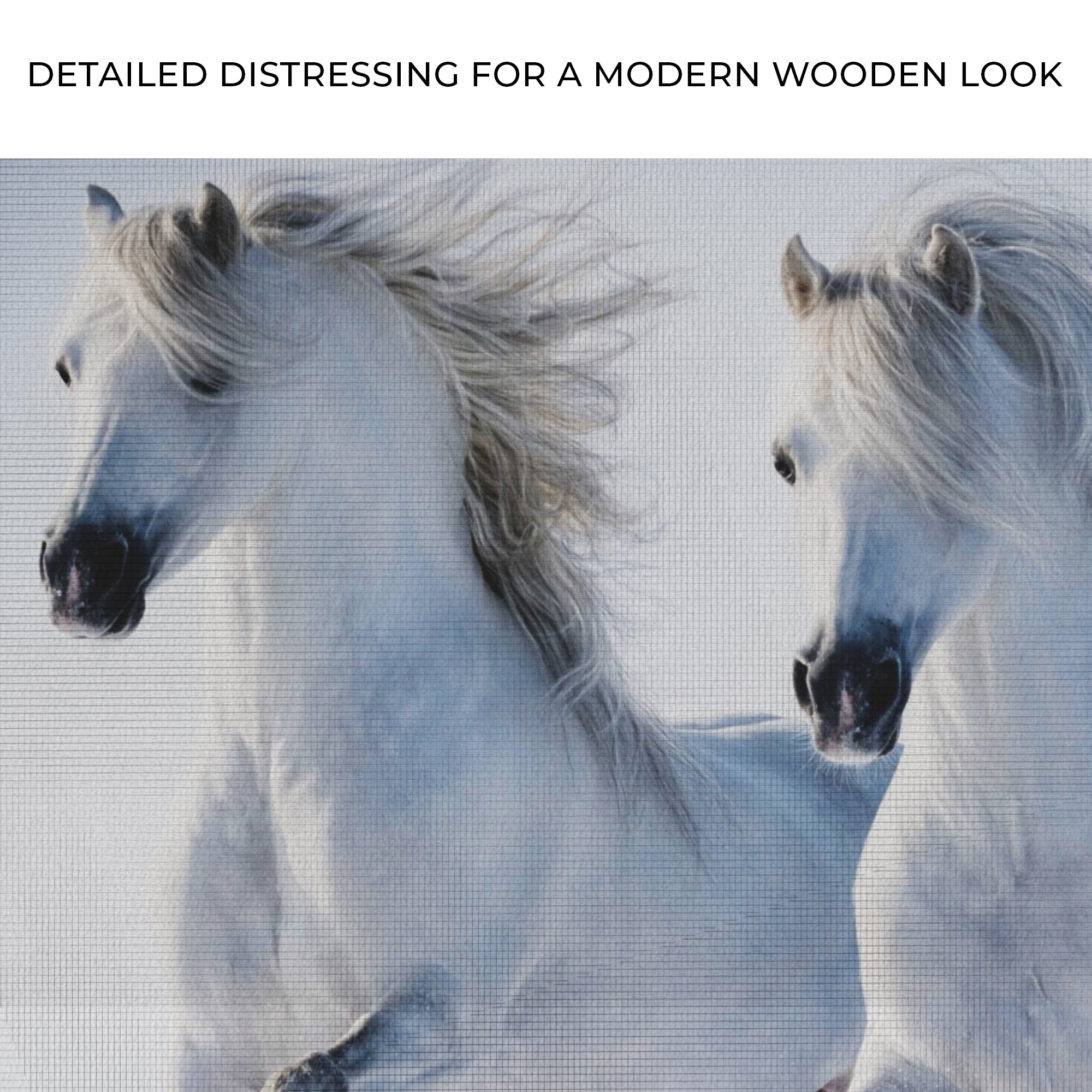 White Horse Couple Canvas Wall Art on sale at MyriadMart