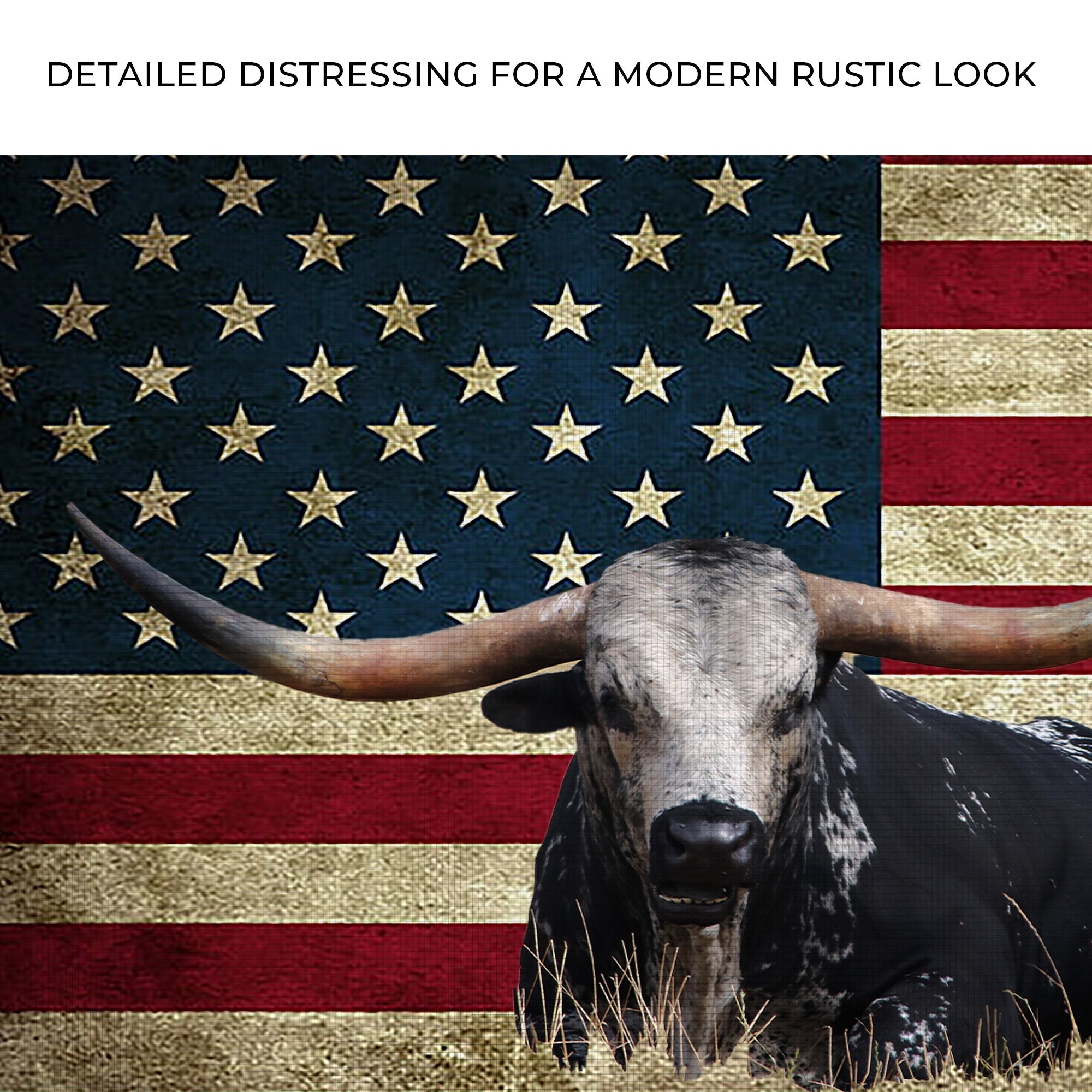 Longhorn Cattle American Flag Canvas Wall Art on sale at MyriadMart