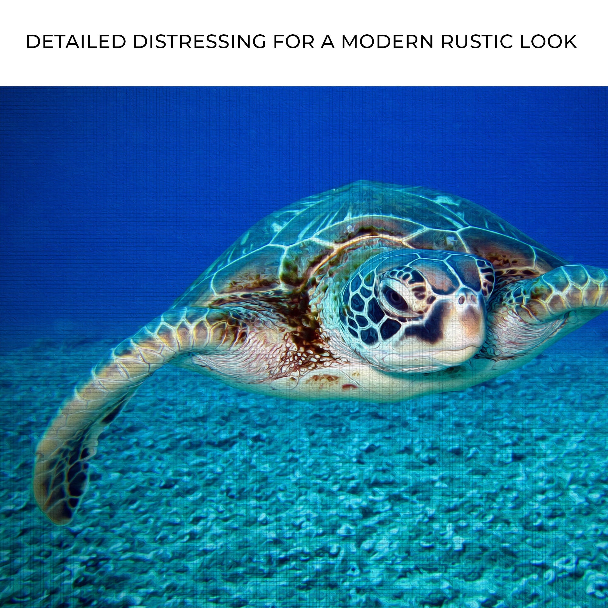 Green Sea Turtle Canvas Wall Art on sale at MyriadMart