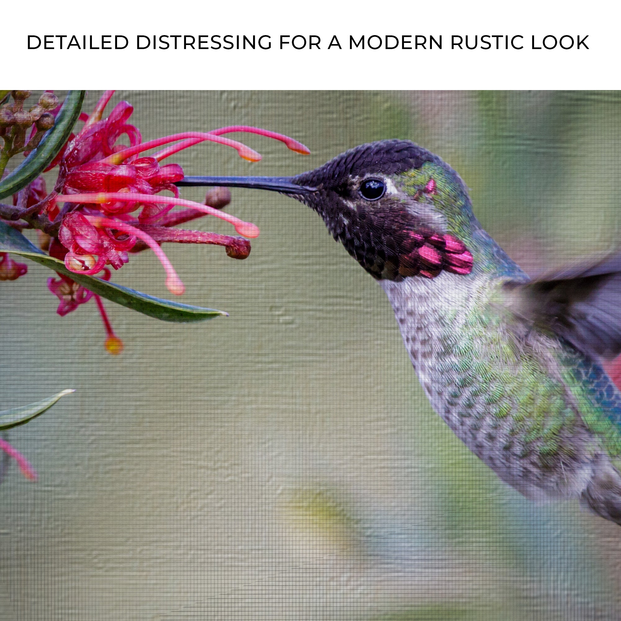 Hummingbird Spring Canvas Wall Art on sale at MyriadMart