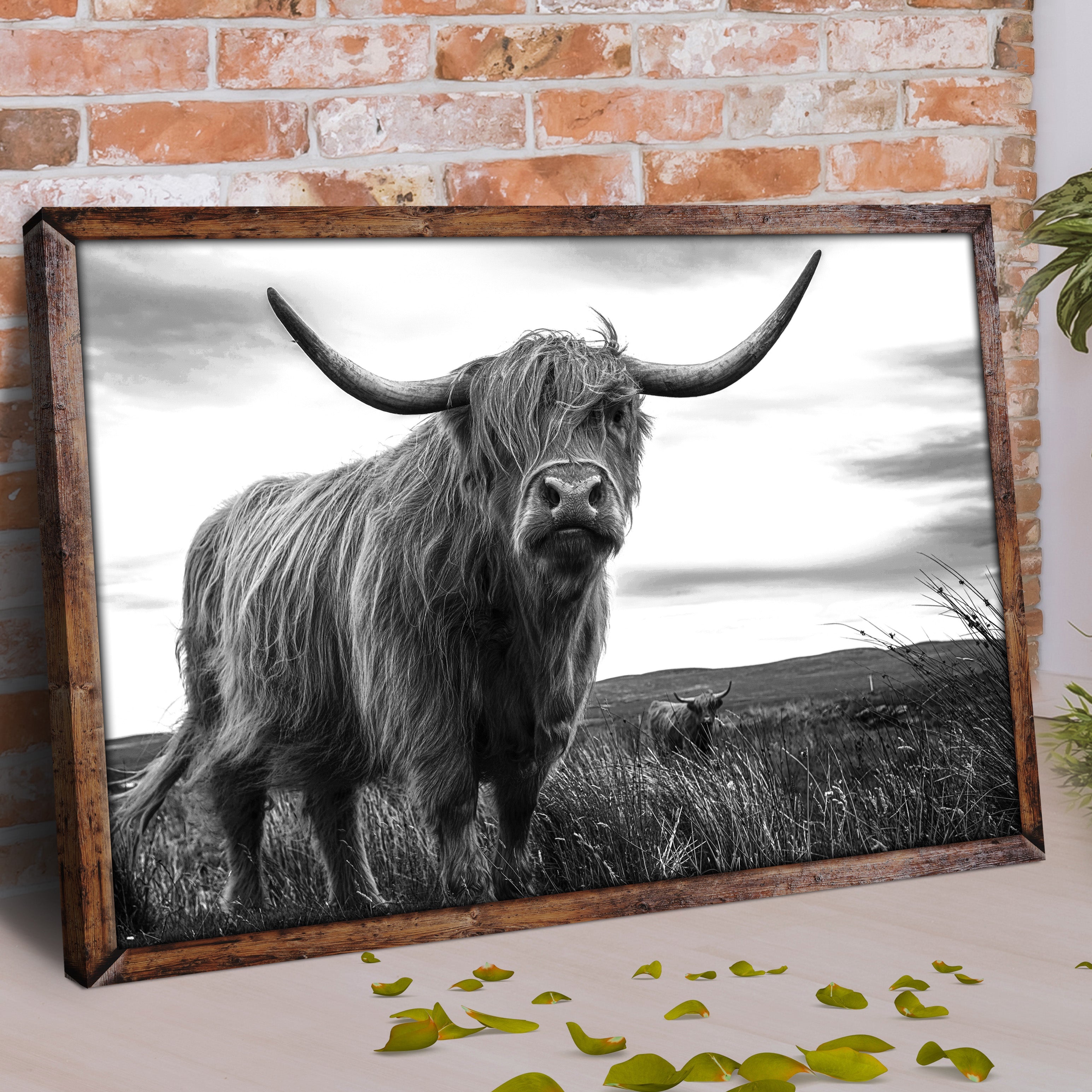 Highland Cow Black And White Portrait Canvas Wall Art on sale at MyriadMart