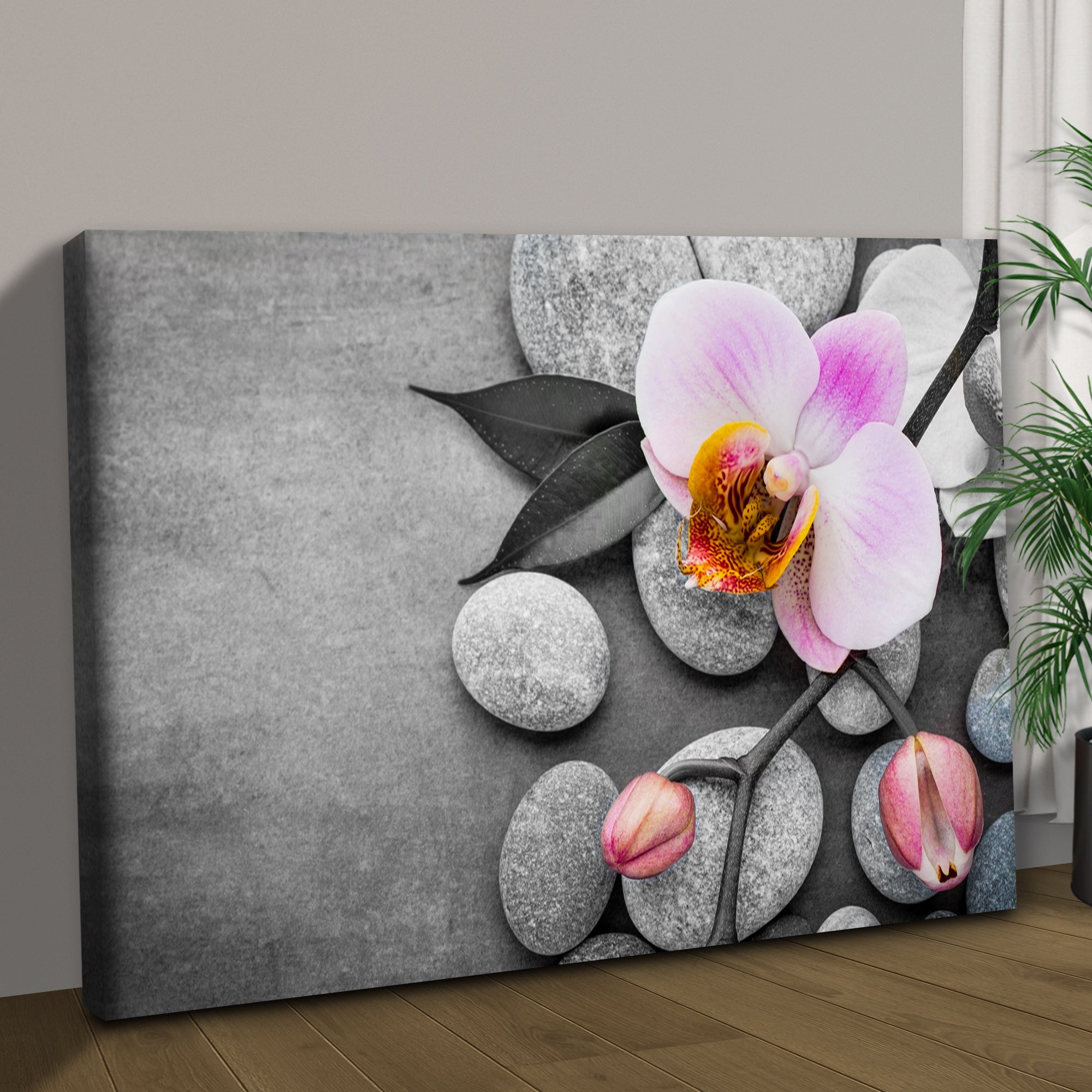 Fresh White Orchid Flower Canvas Wall Art on sale at MyriadMart