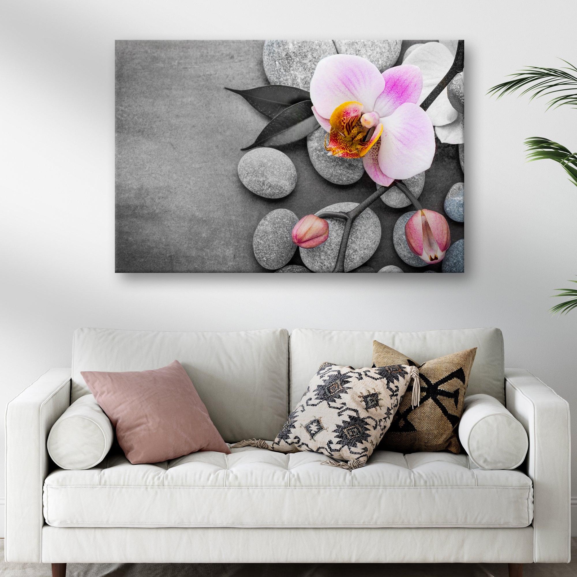 Fresh White Orchid Flower Canvas Wall Art on sale at MyriadMart