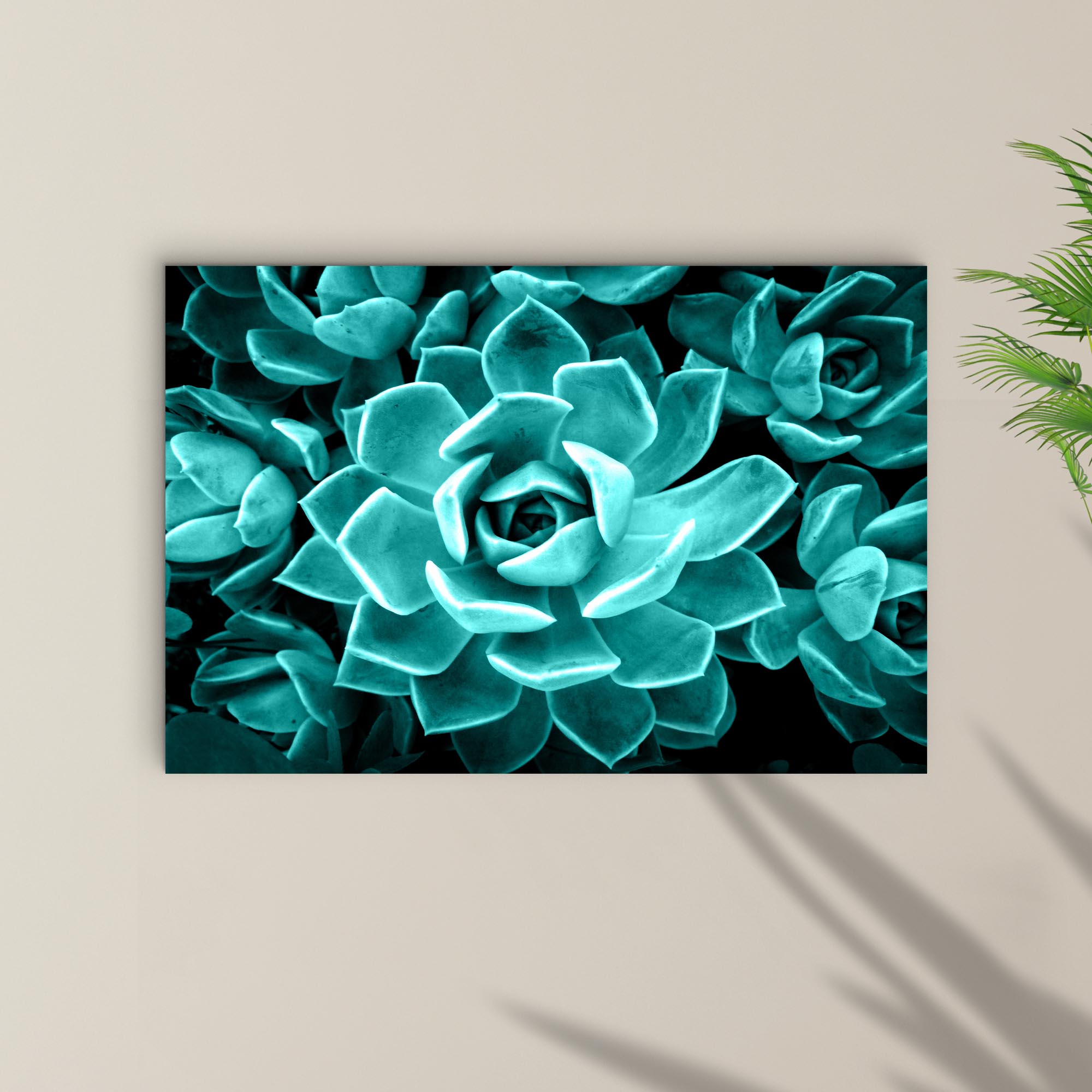 Teal Rose Succulent Canvas Wall Art II on sale at MyriadMart