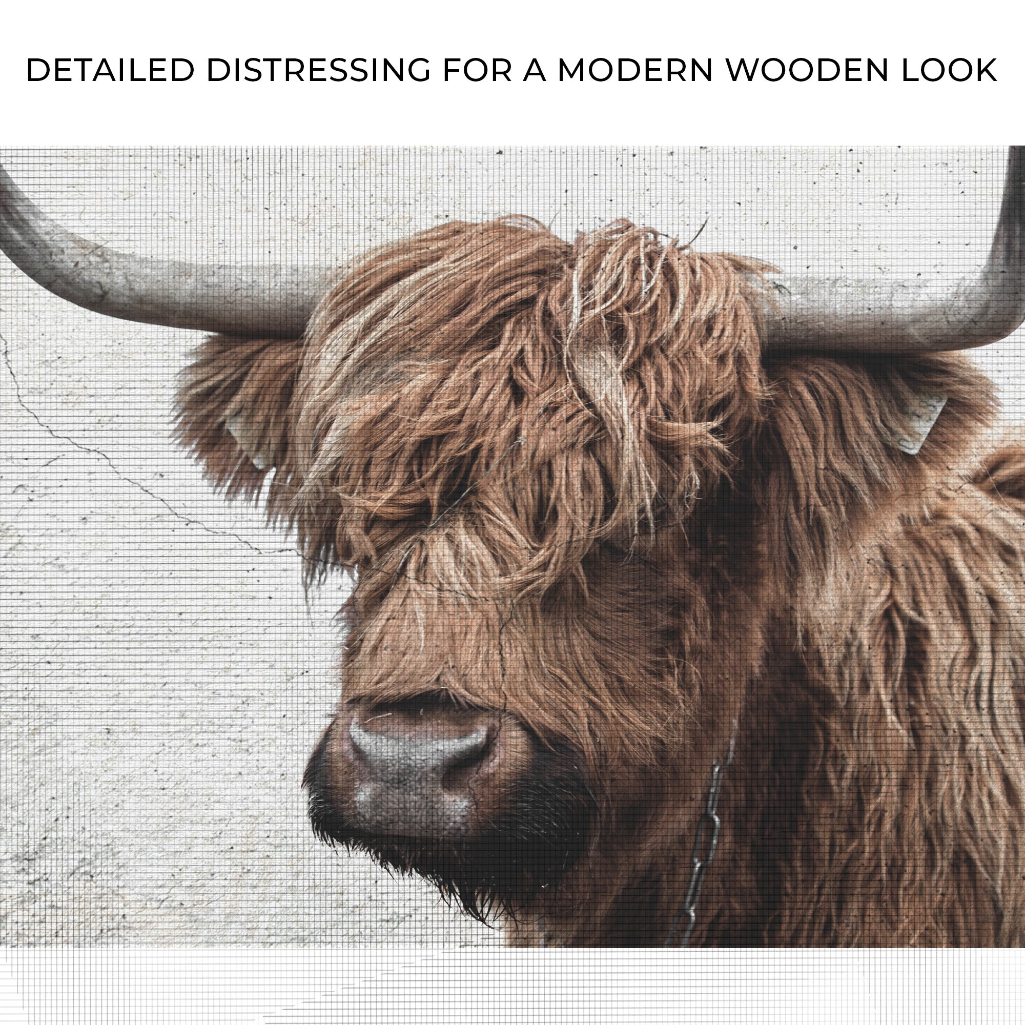 Natural Rustic Highland Cow Canvas Wall Art on sale at MyriadMart