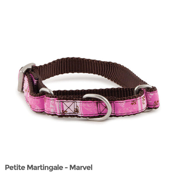 PetSafe Fido Finery Martingale Style Collar (1/2 Petite, Marvel) - MyriadMart