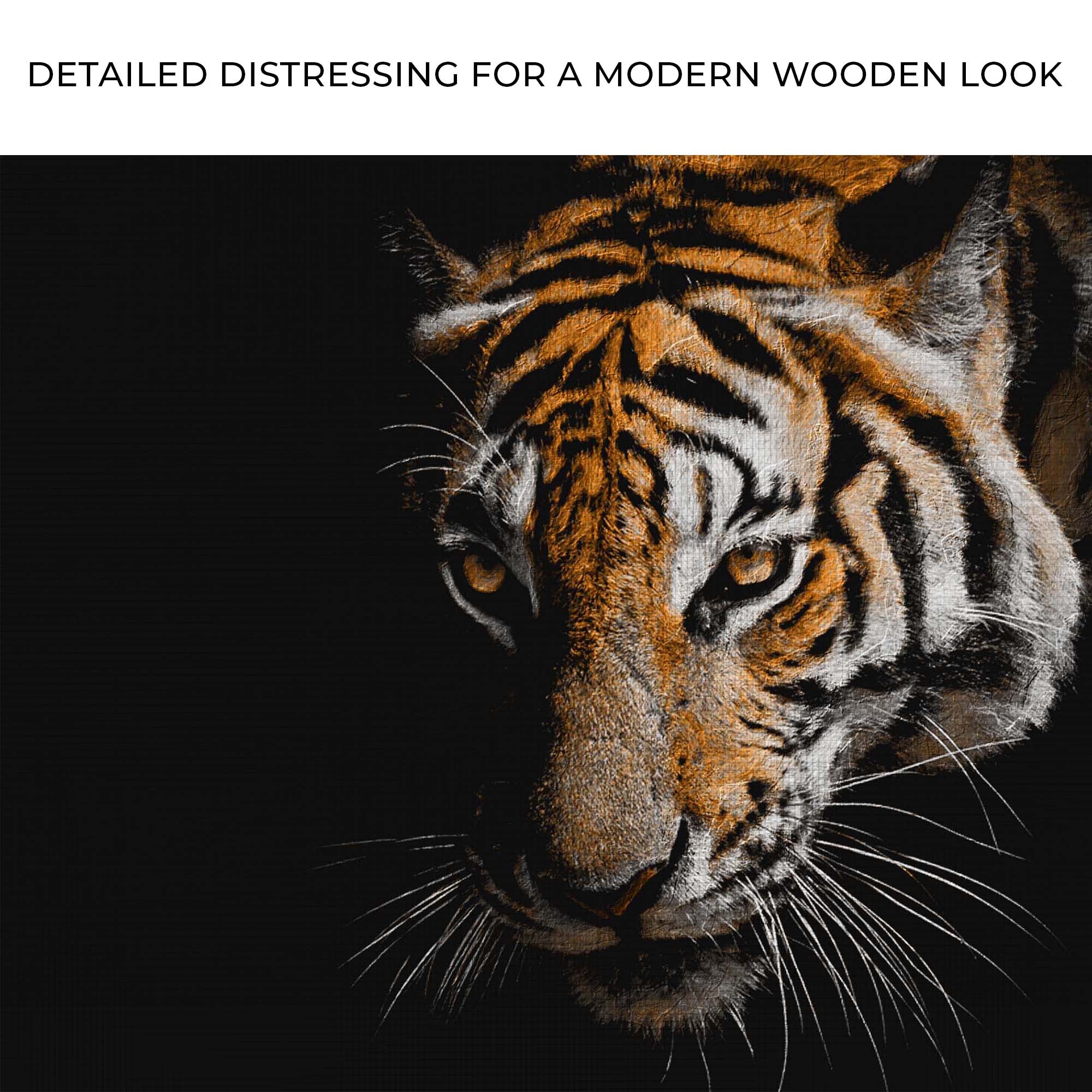 Tiger Watching In The Dark Canvas Wall Art on sale at MyriadMart