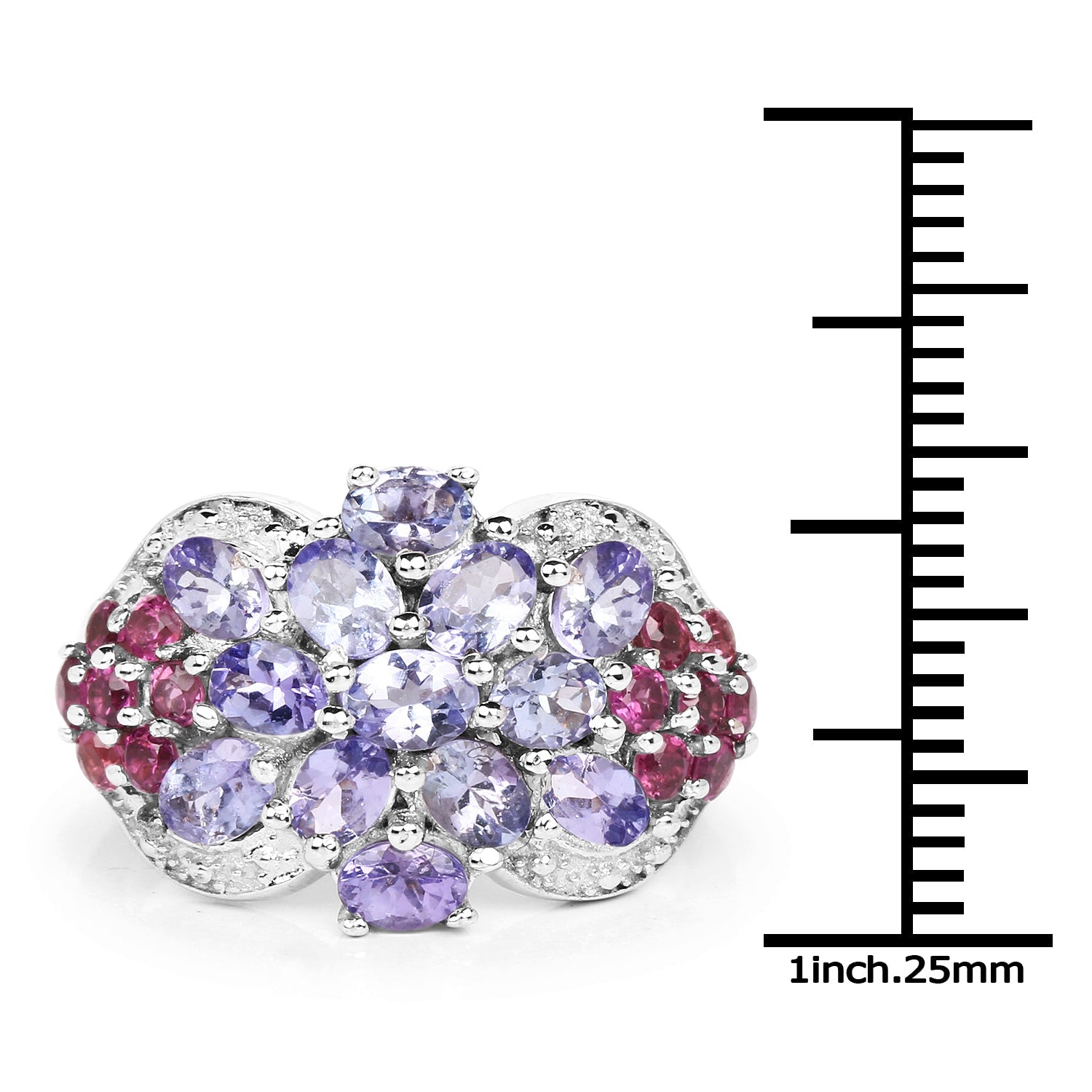2.91 Carat Genuine Tanzanite and Rhodolite .925 Sterling Silver Ring on sale at MyriadMart