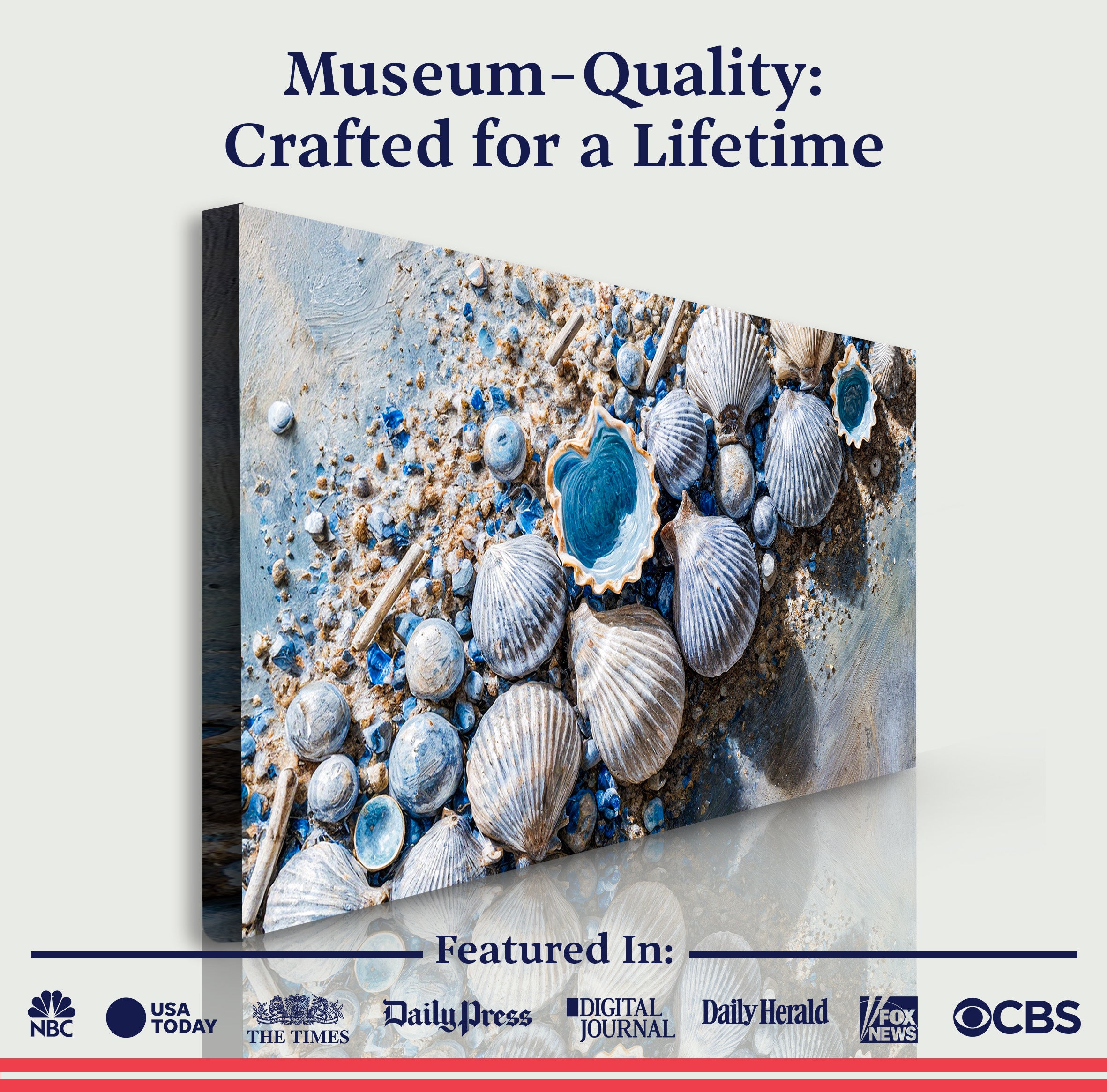Sea Shells Modern Coastal Wall Art II on sale at MyriadMart