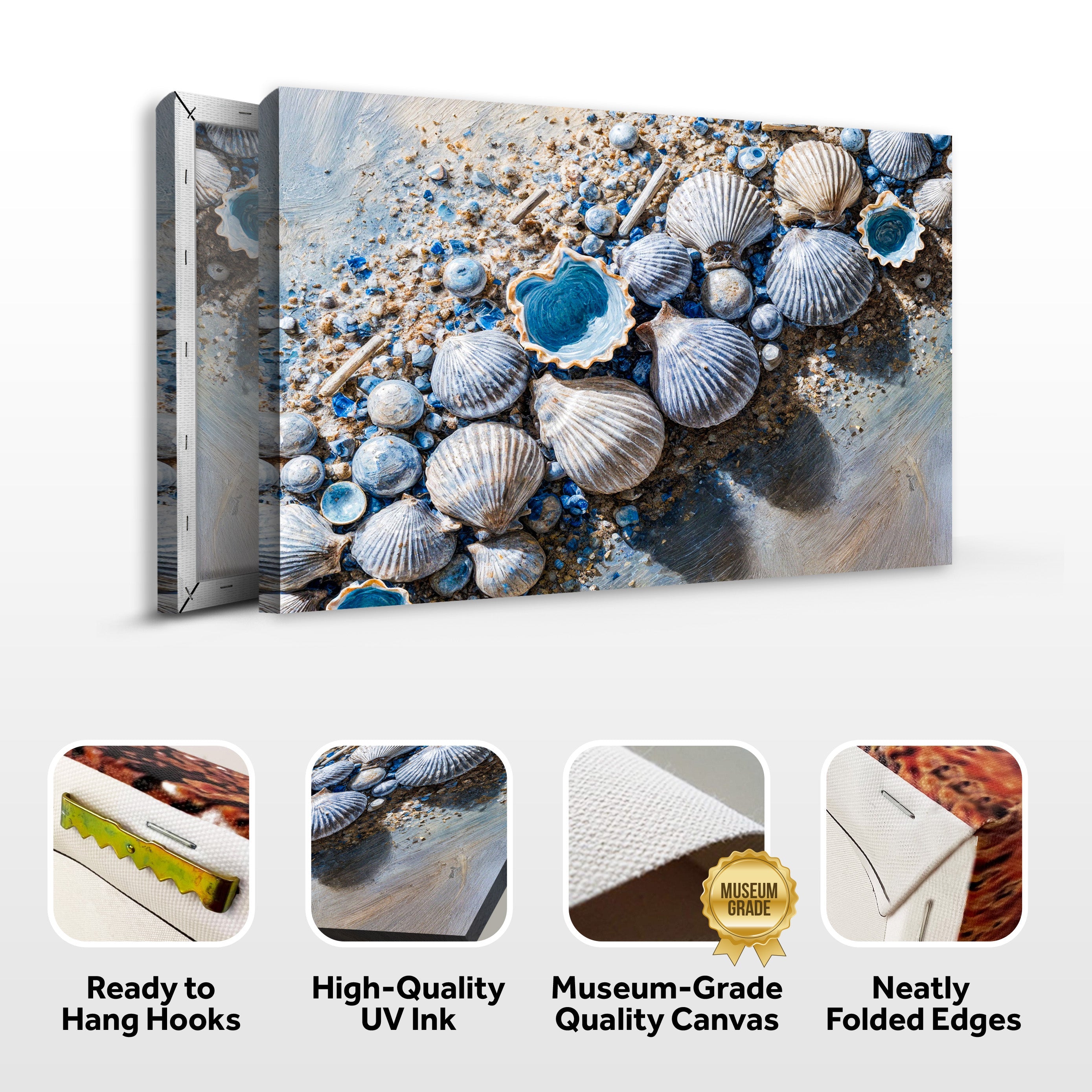 Sea Shells Modern Coastal Wall Art II on sale at MyriadMart